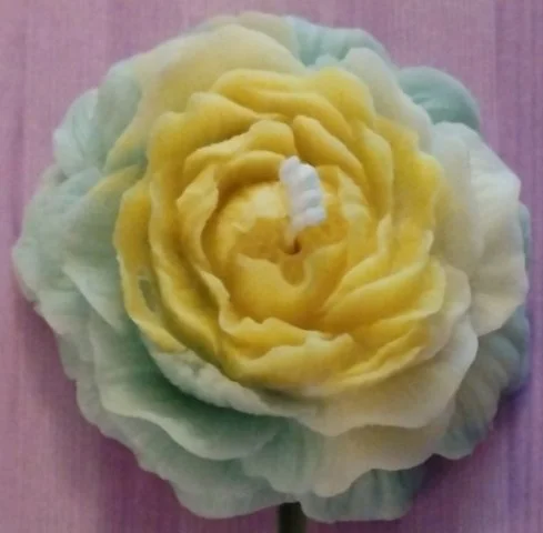 Candle Flower.jpg