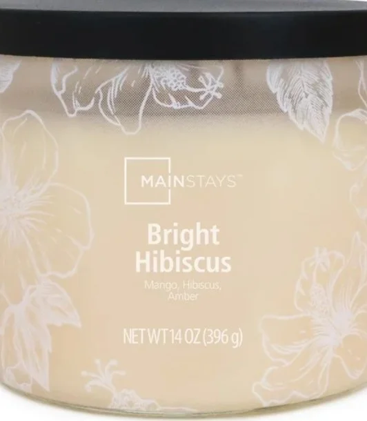 46. Bright Hibiscus.jpeg