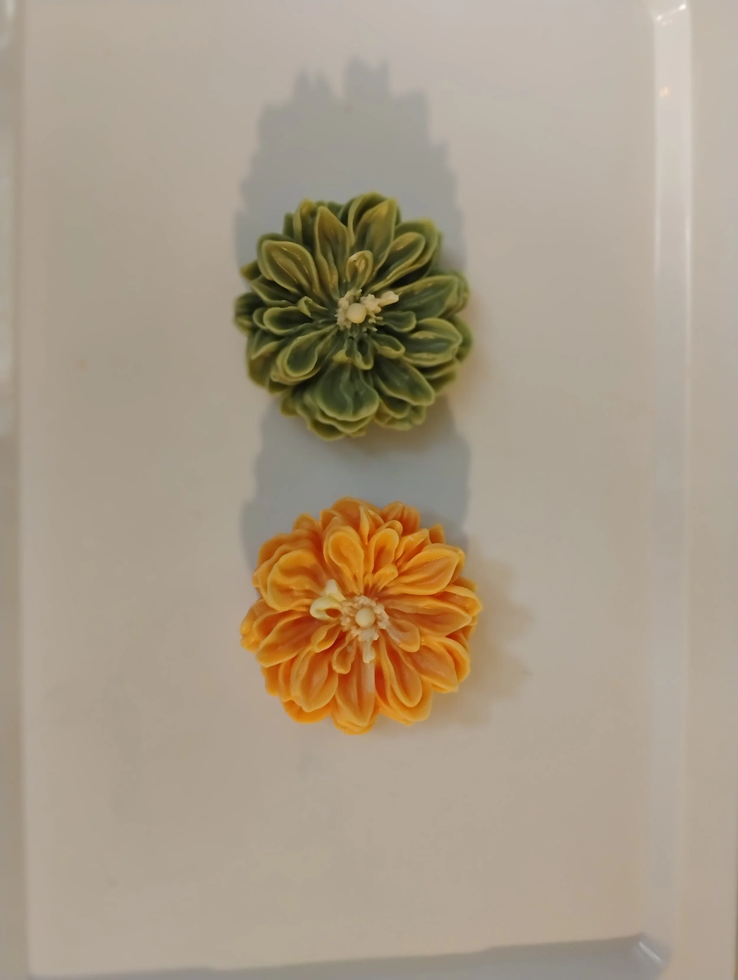 2. Camellia Flower.jpg