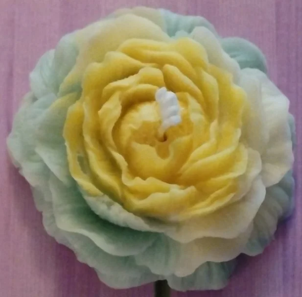 Candle Flower.jpg