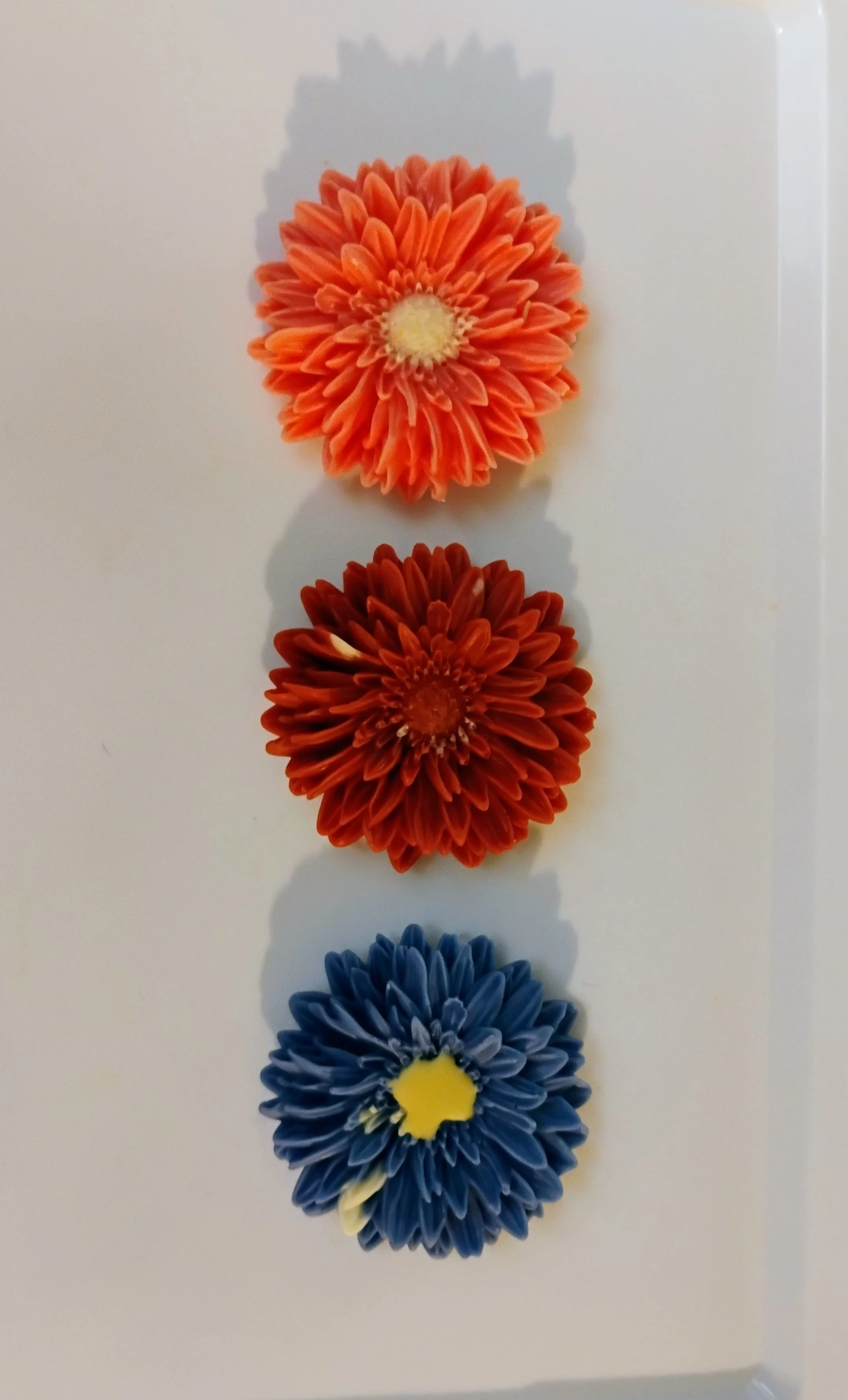 4. Gerbera Flower.jpg