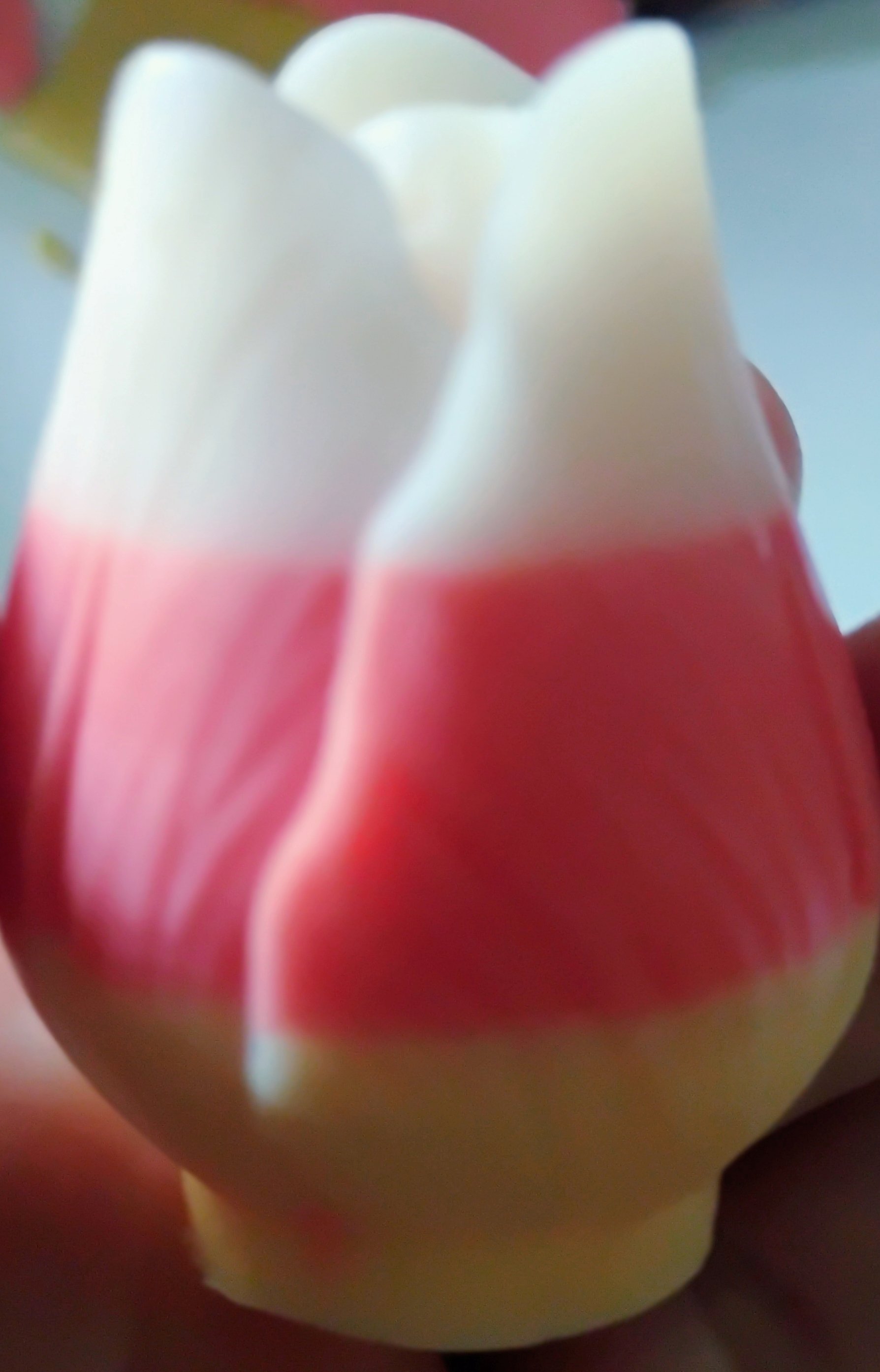 11. Tulip Head.jpg