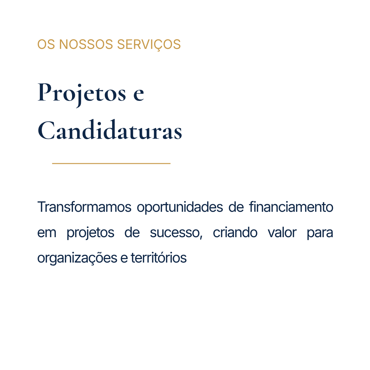 Página de apresentação de serviços com texto destacando projetos e candidaturas, focada em transformar oportunidades de financiamento em projetos de sucesso para organizações e territórios.