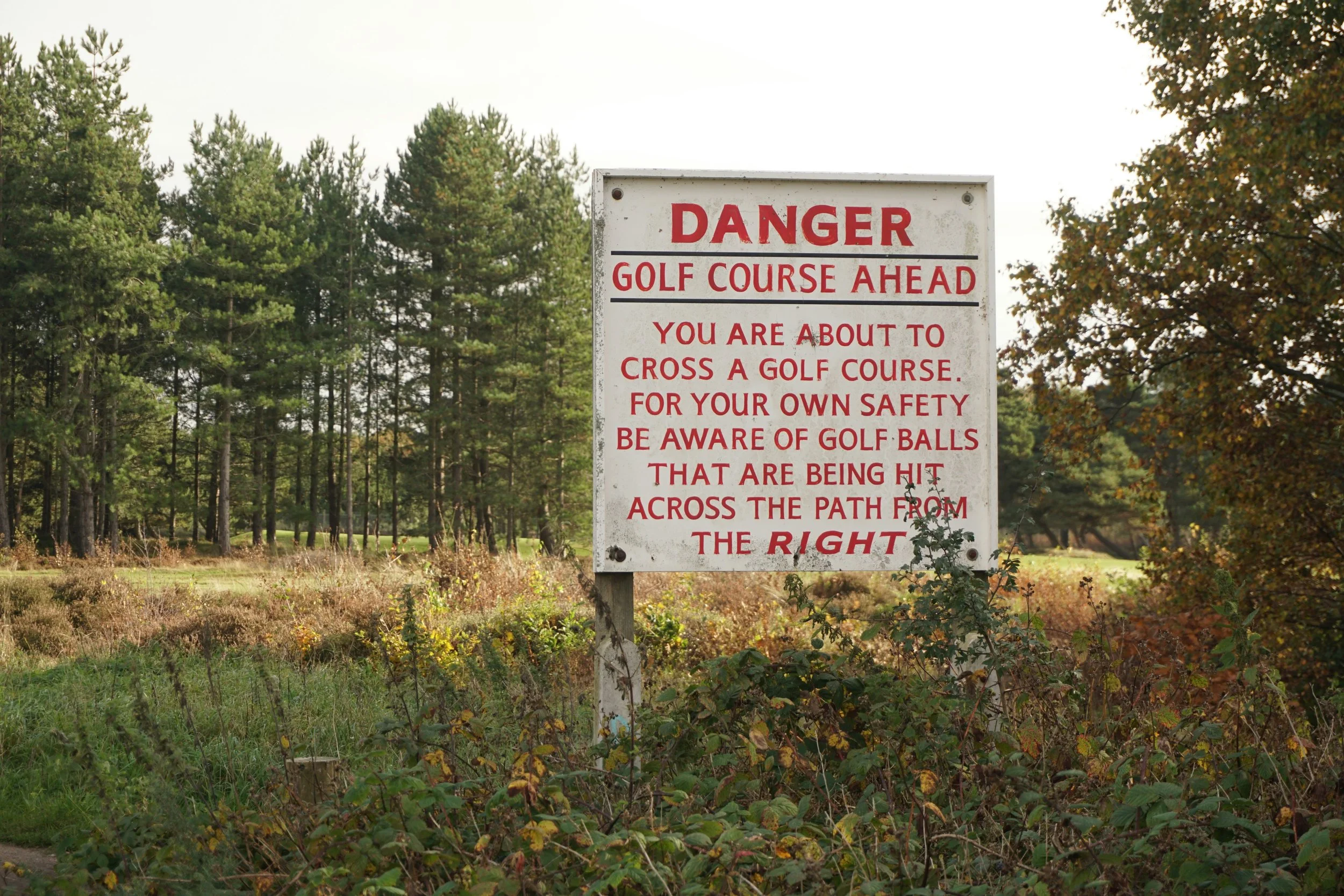 coursesign.jpg