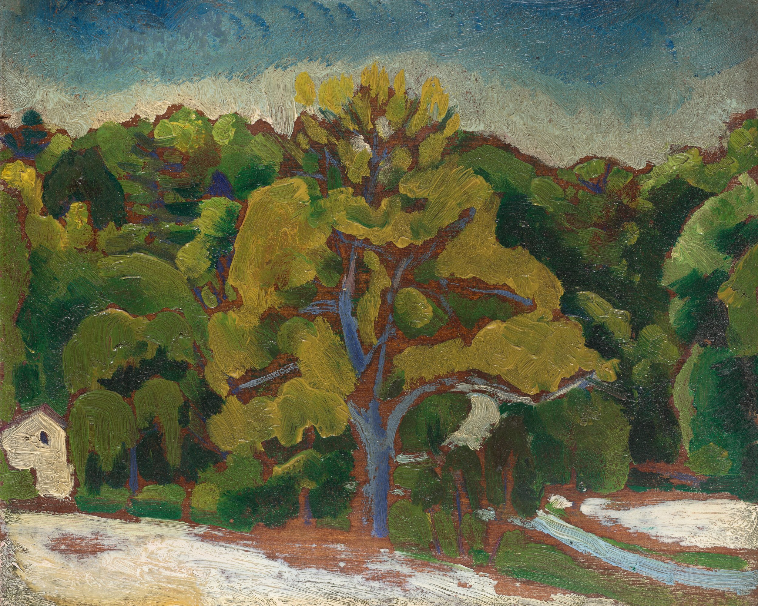 landscape_Schamberg.jpg