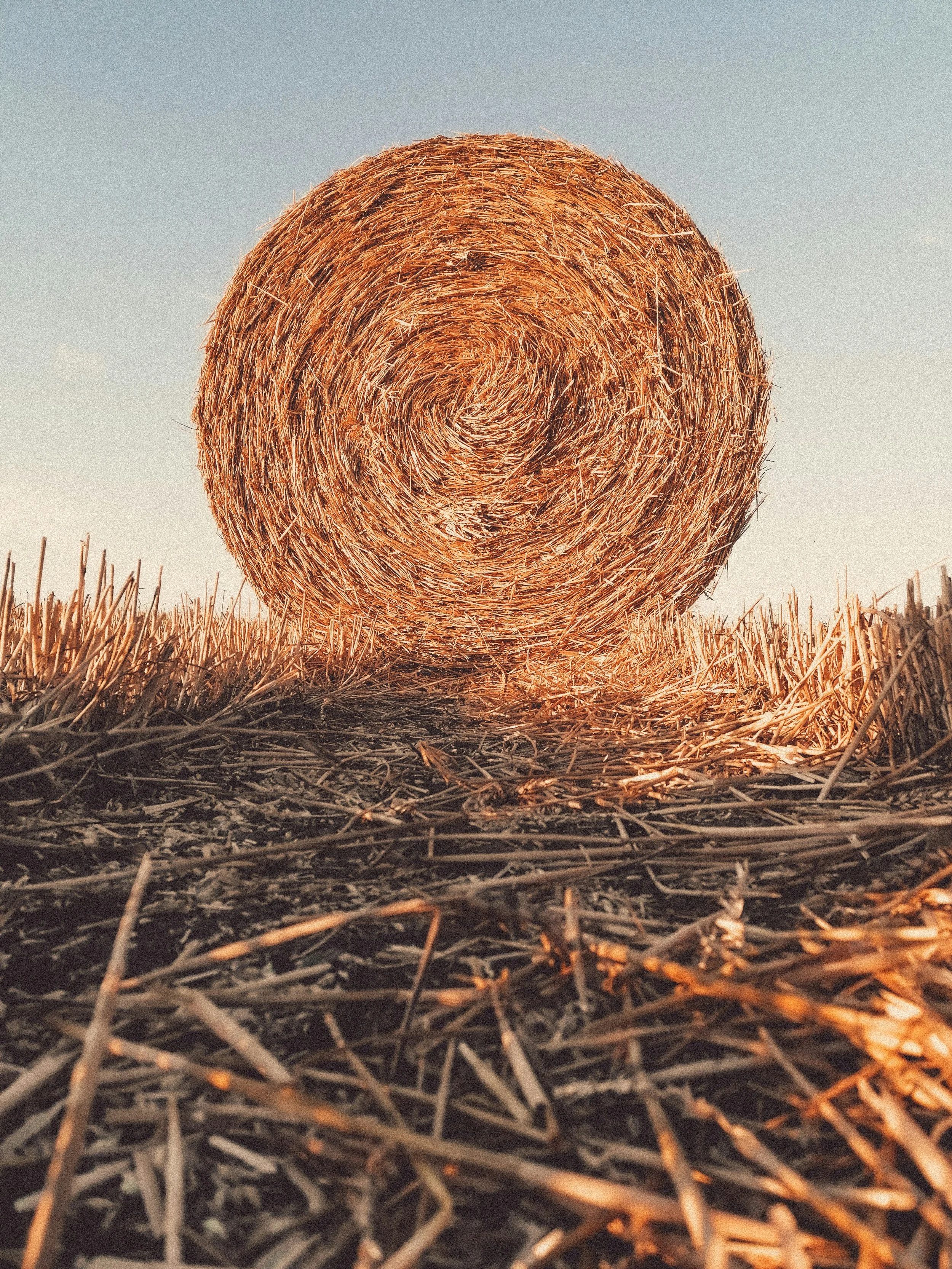 hay circle.jpg