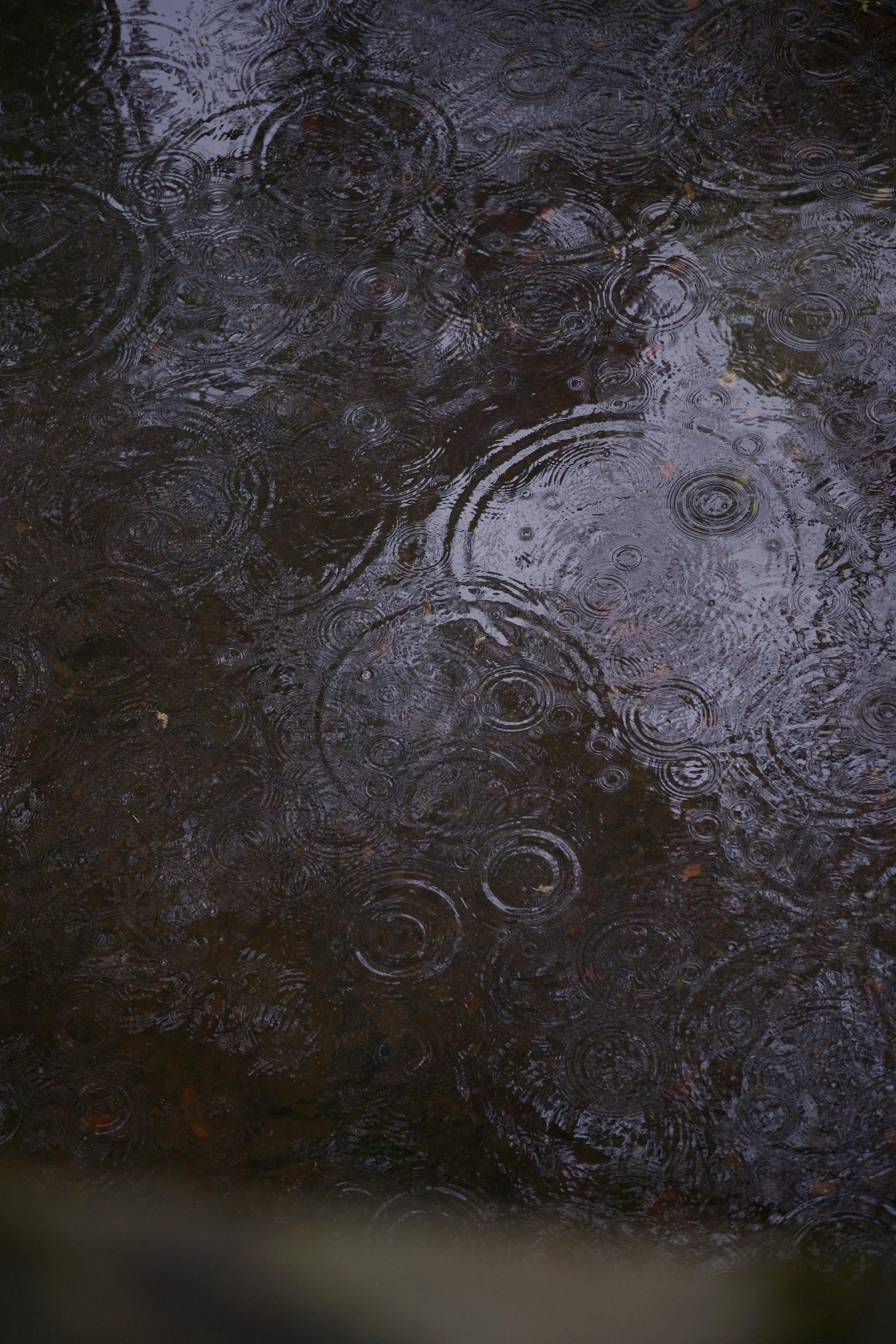 rain circles.jpg