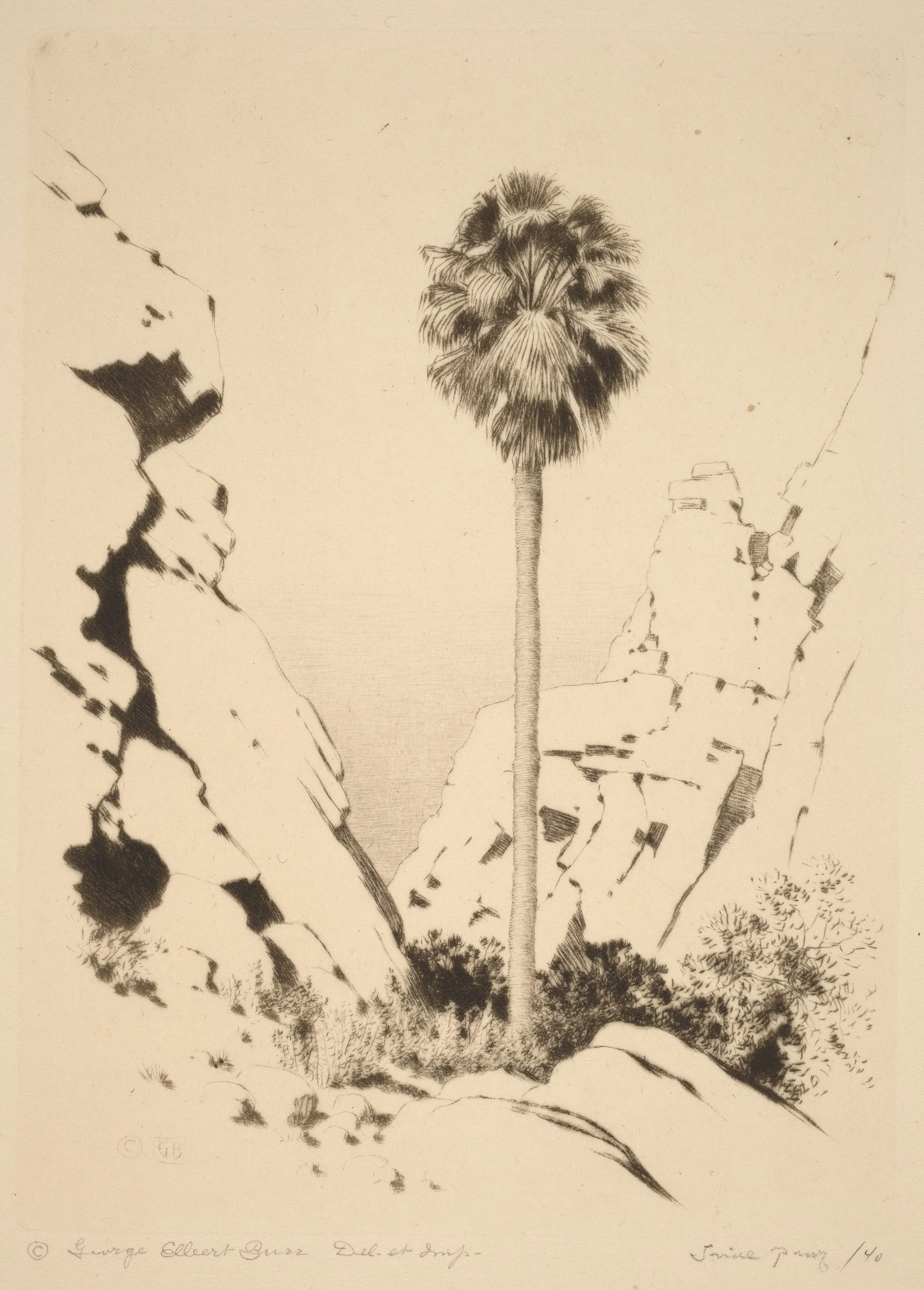palm_canyon_no.1.jpg