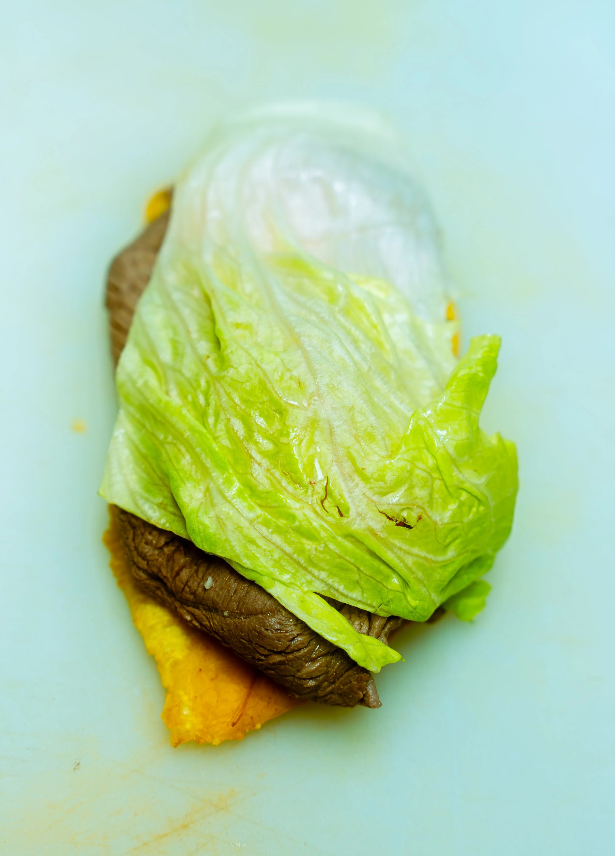 sandwhich 4 crop.jpg