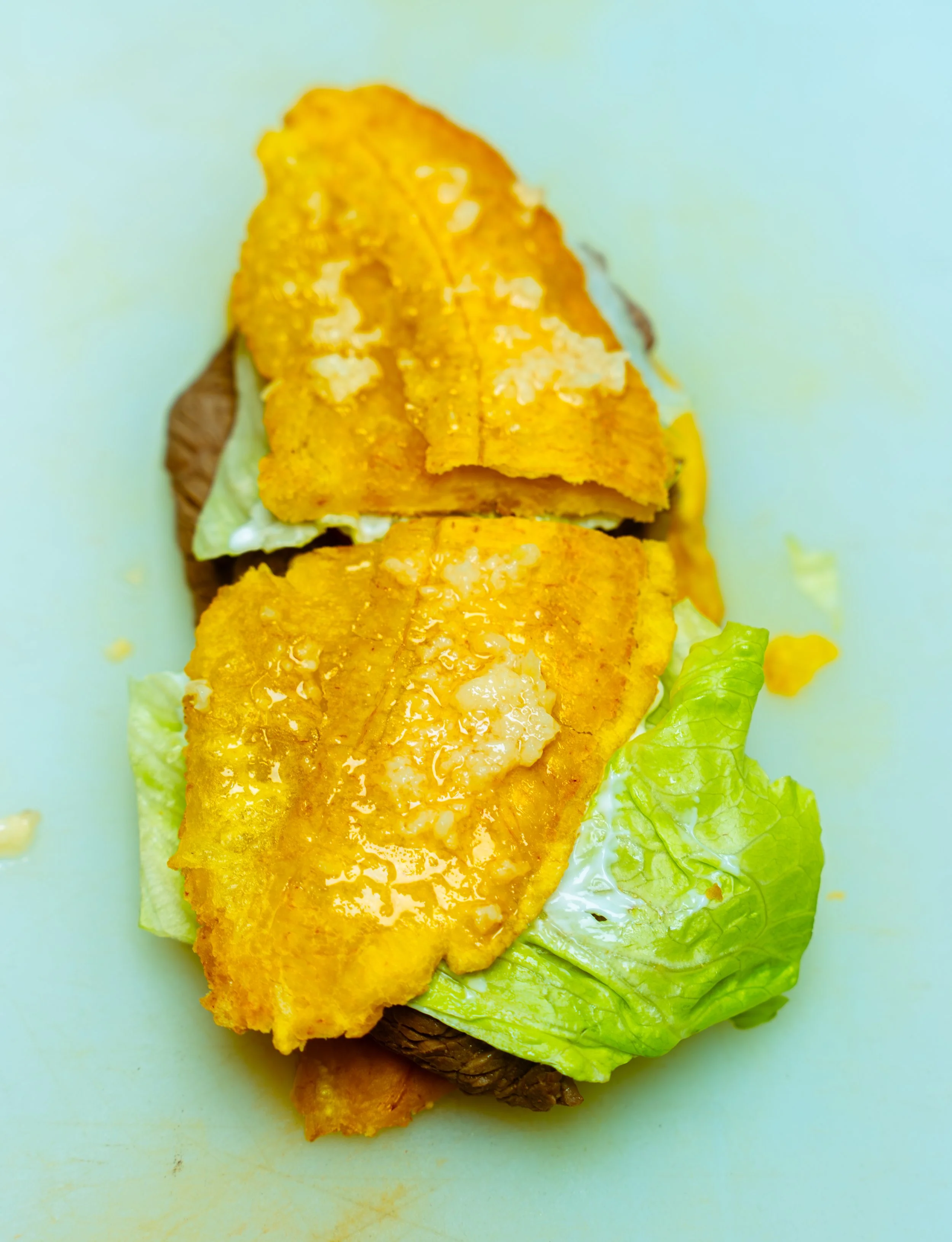 sandwhich 99 crop.jpg
