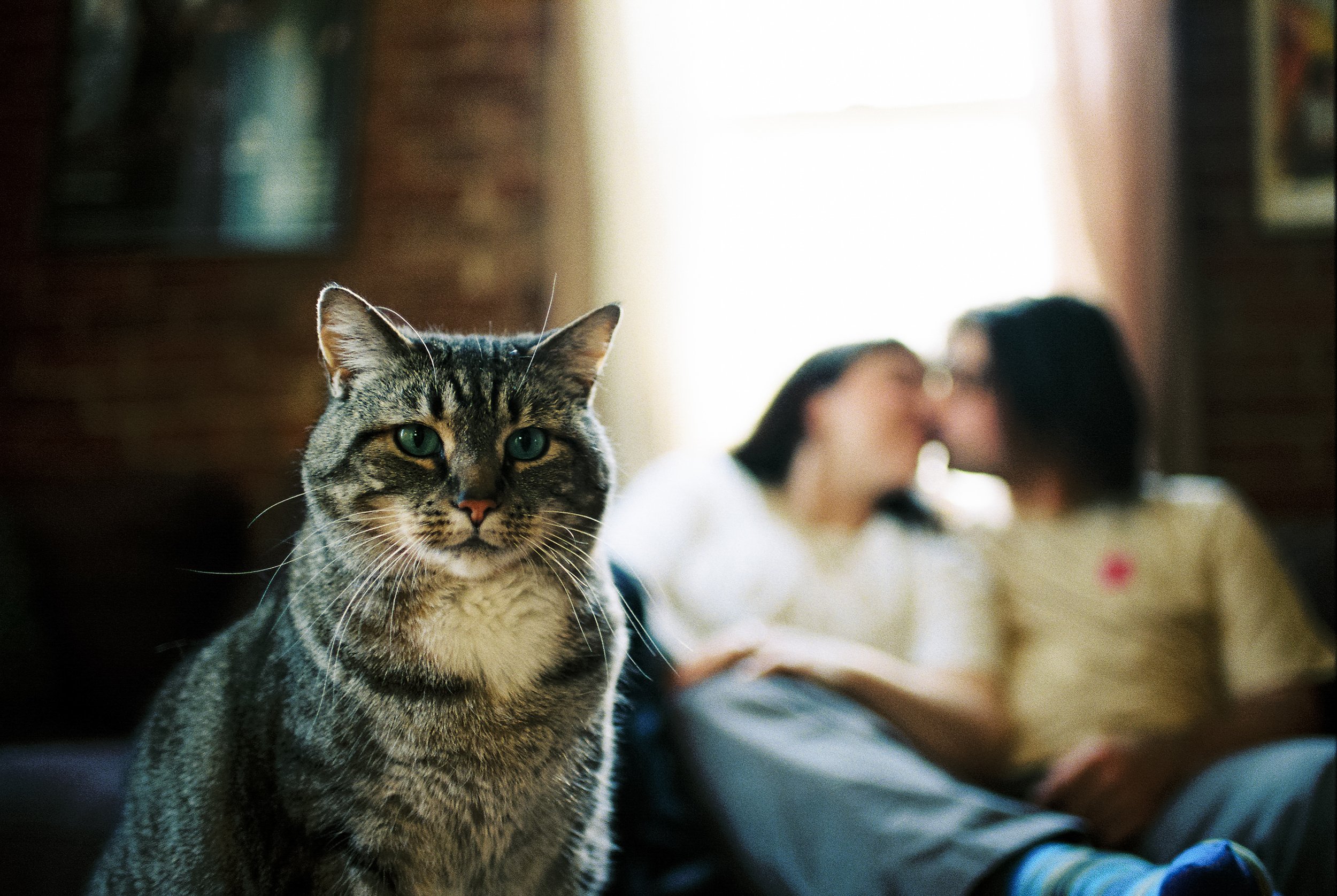 mckenna+mitchnoborders-41.jpg