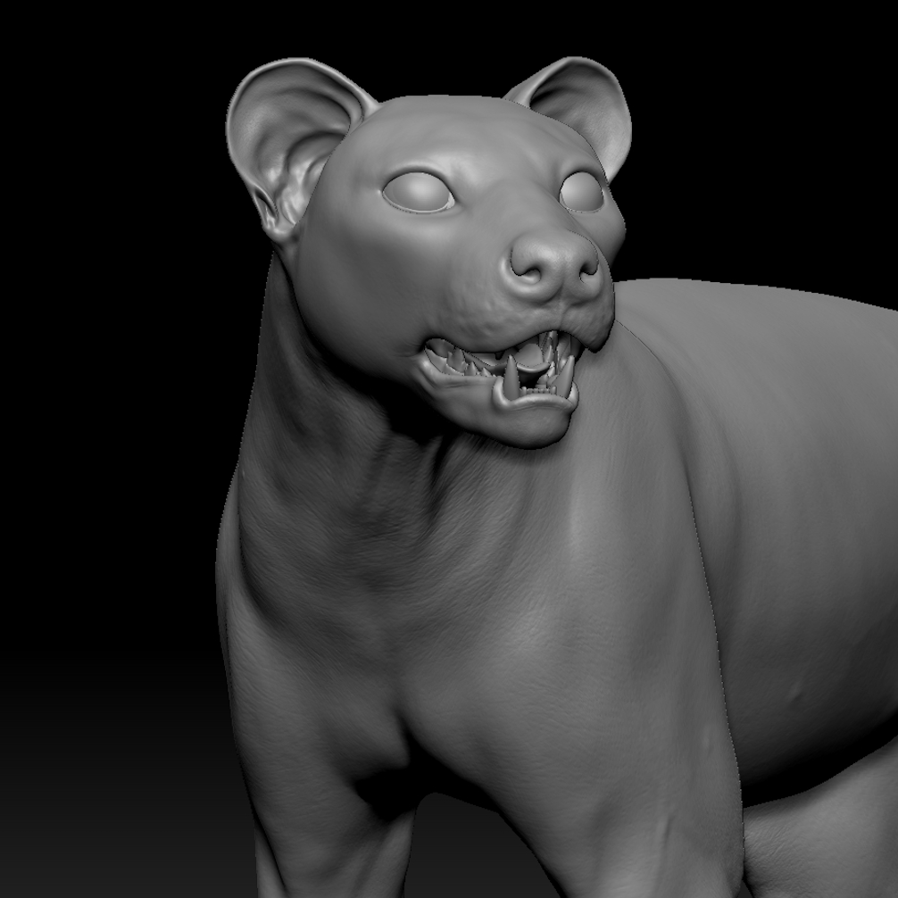 Fossa