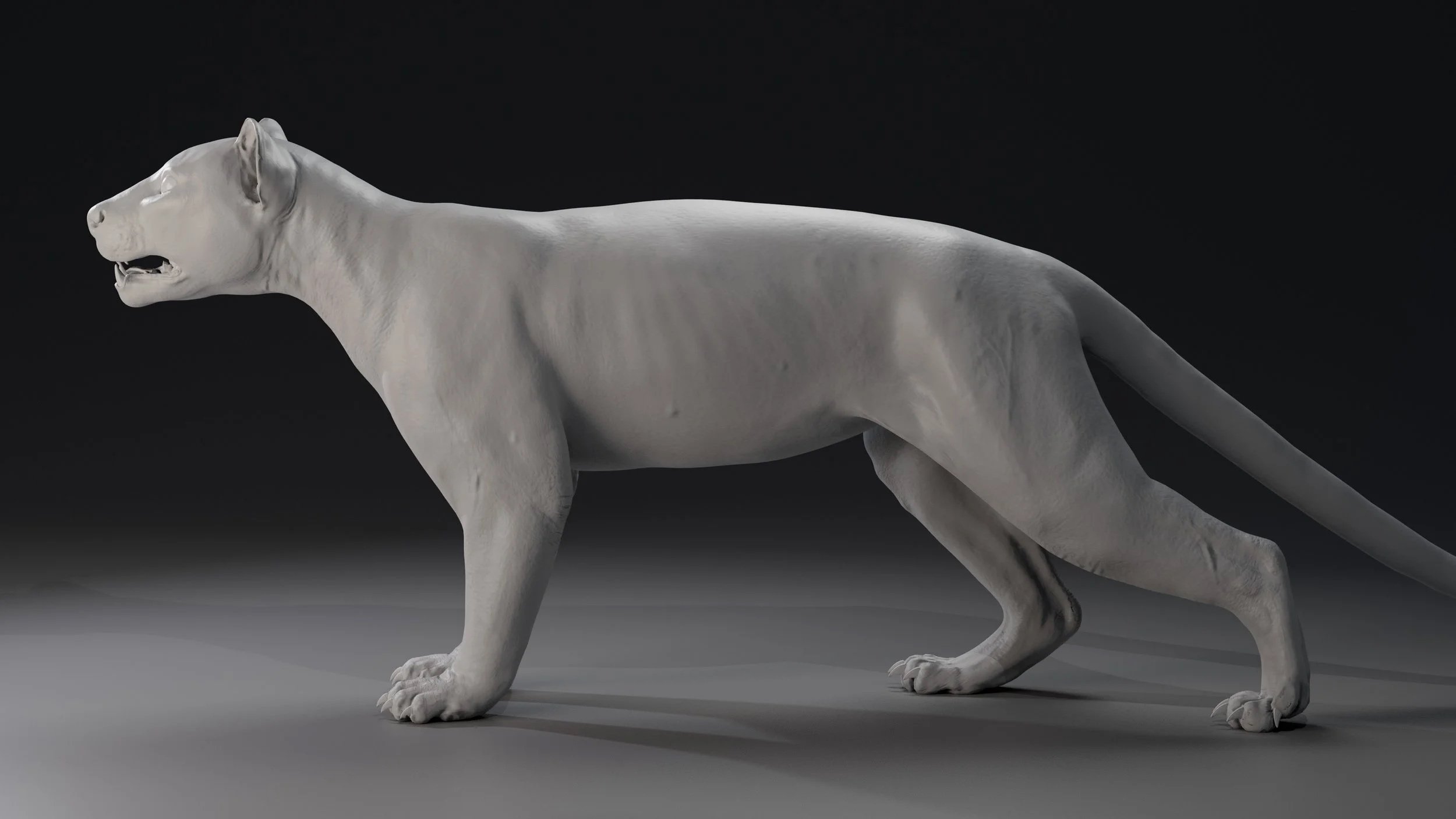 Fossa7.jpg