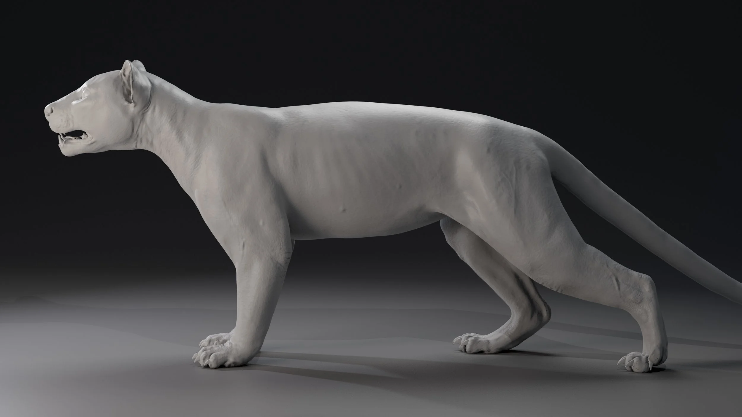 Fossa7.jpg