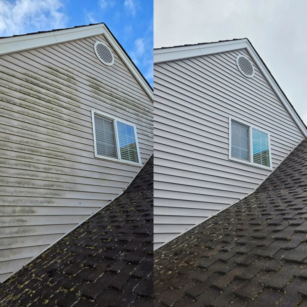 pressure washing service