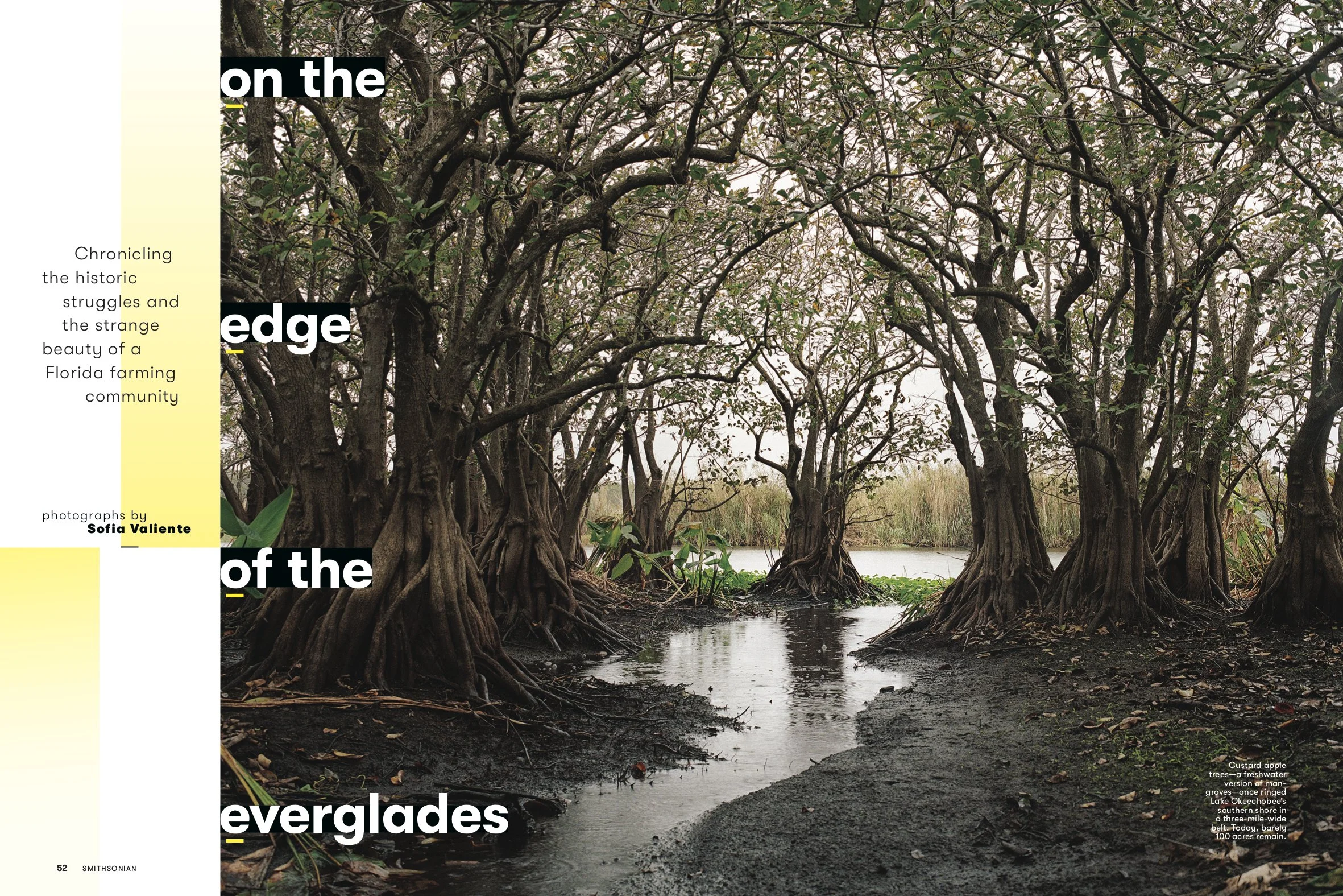 TearSheetJULAUG21_FEA_Foreverglades_Layout [P]_18354332_42_View copy.jpg