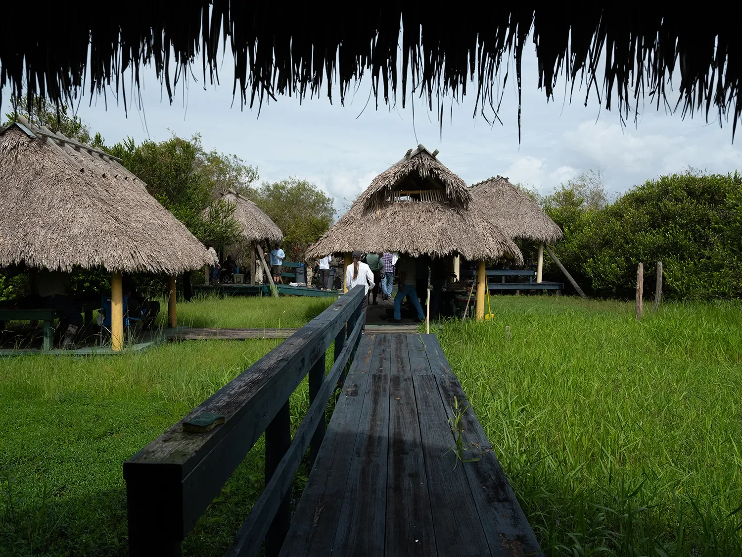 original_8d181285-b80b-4101-b396-a98292004f0f.webp