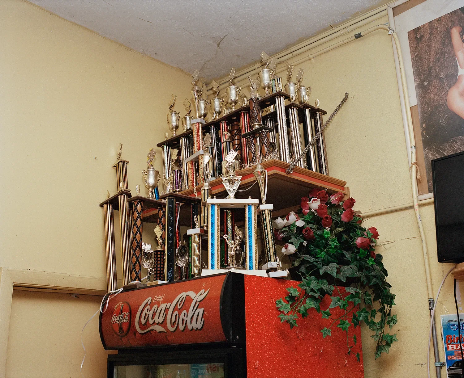 Trophies that were won from domino tournaments displayed at a local Jamaican restaurant and bar in Belle Glade.