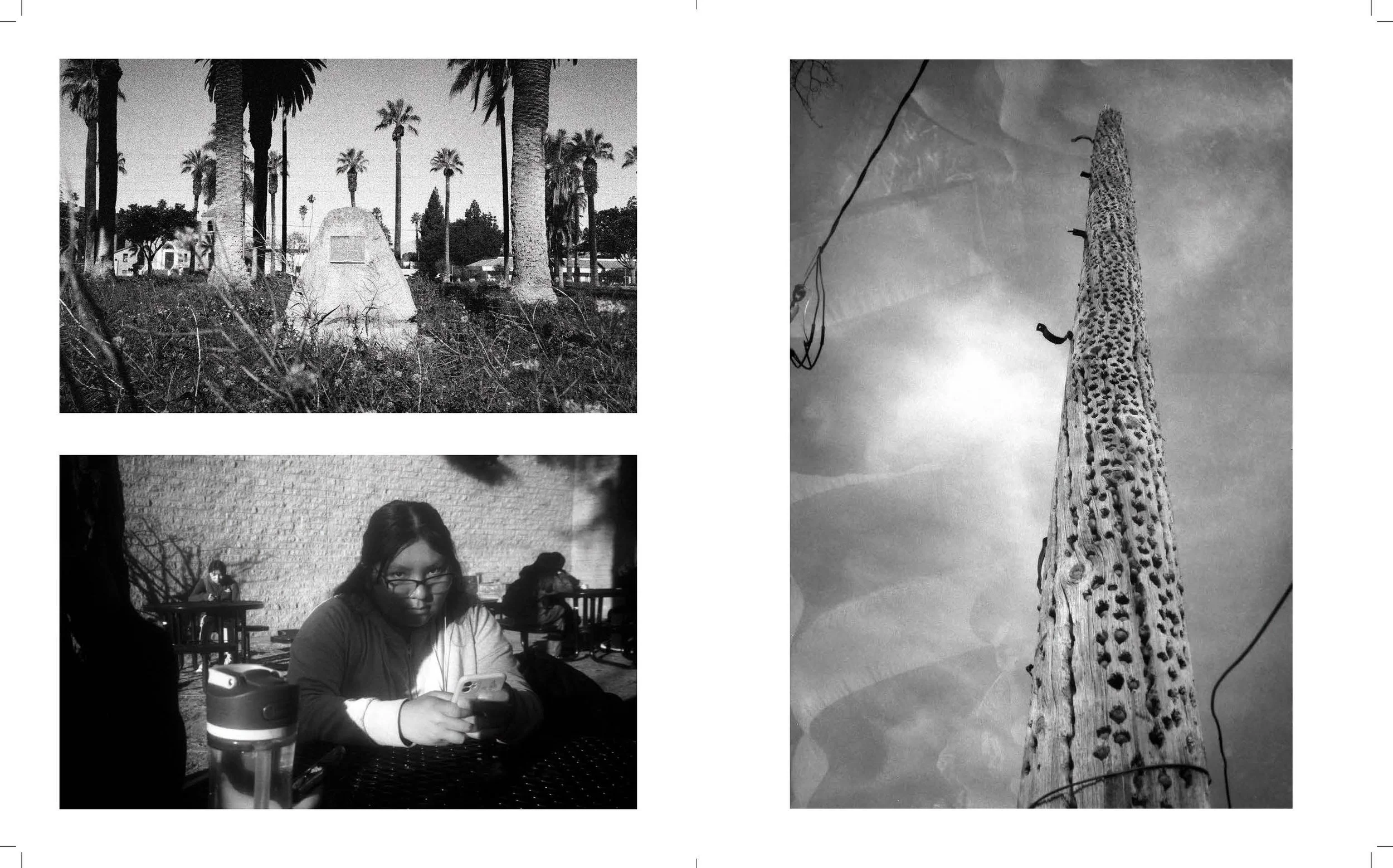 TRBL-SHERMAN-GLUCK-Book-Draft-4._Page_23.jpg