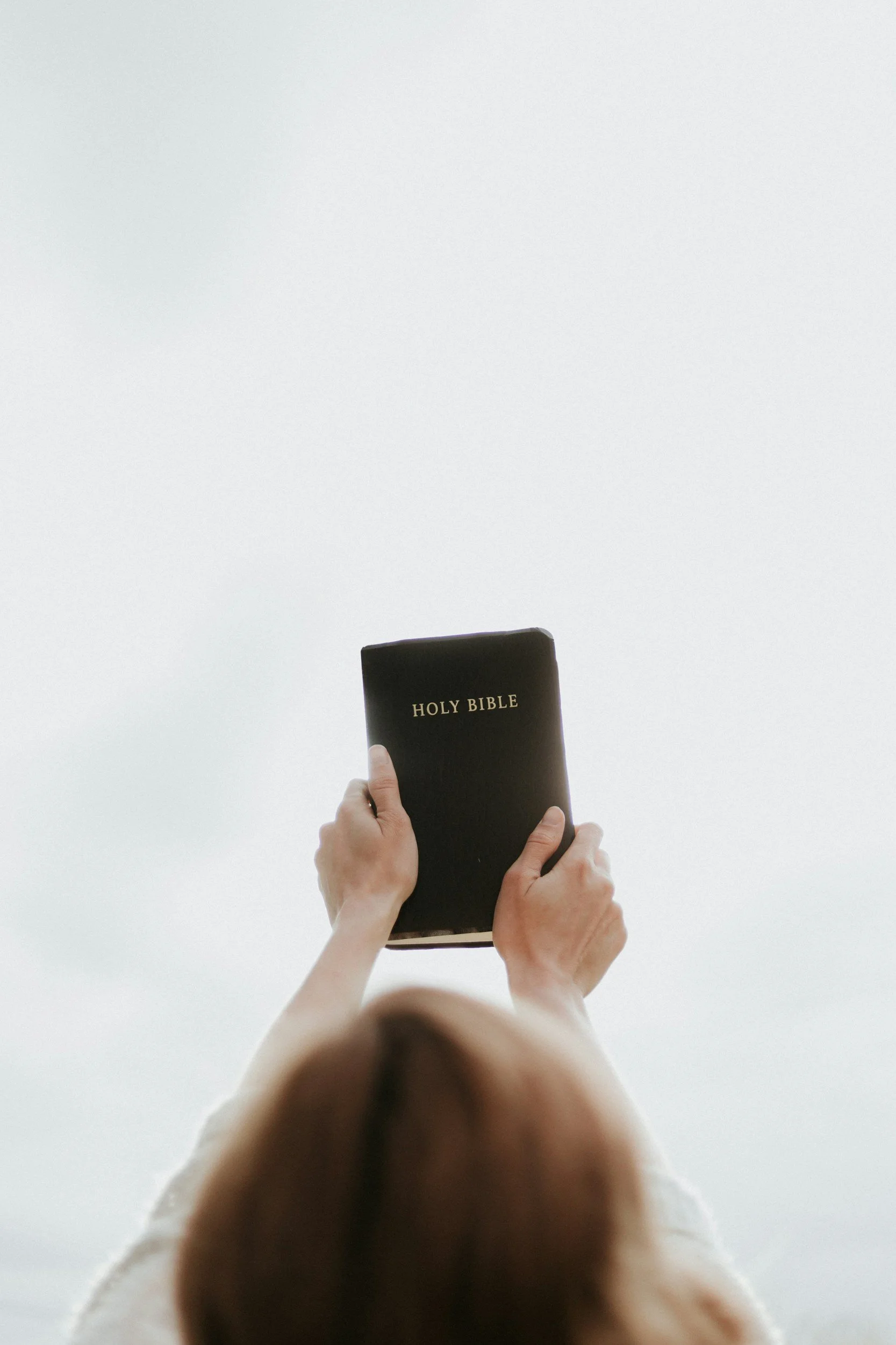 Forever Altr'd Donate A Bible Picture Creative New Believers