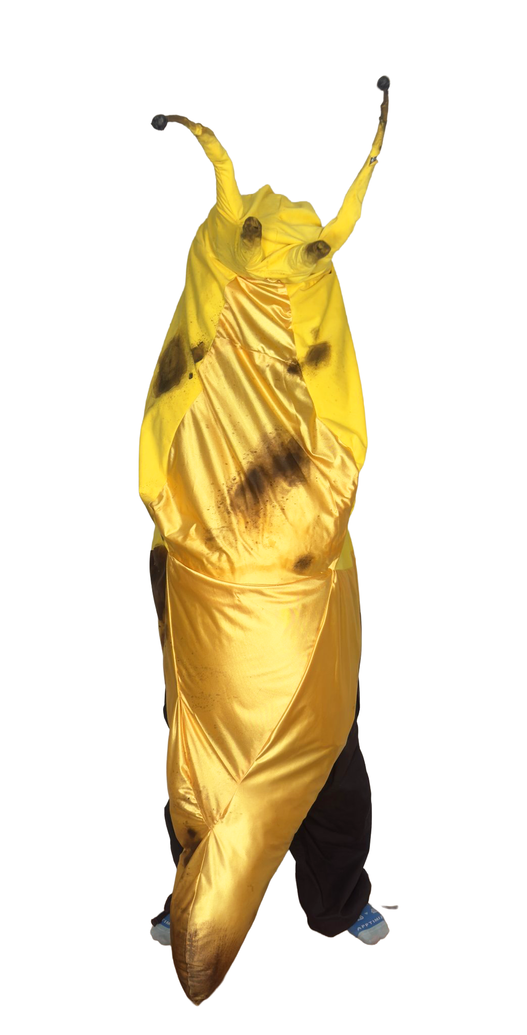 Benslug_front.png