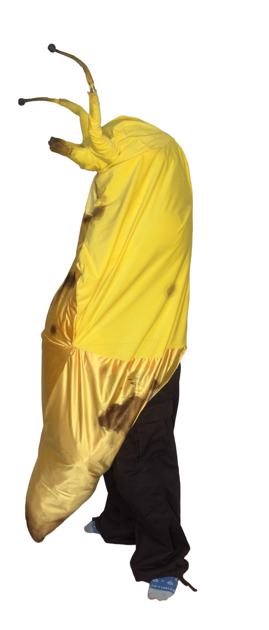 Benslug_left.png