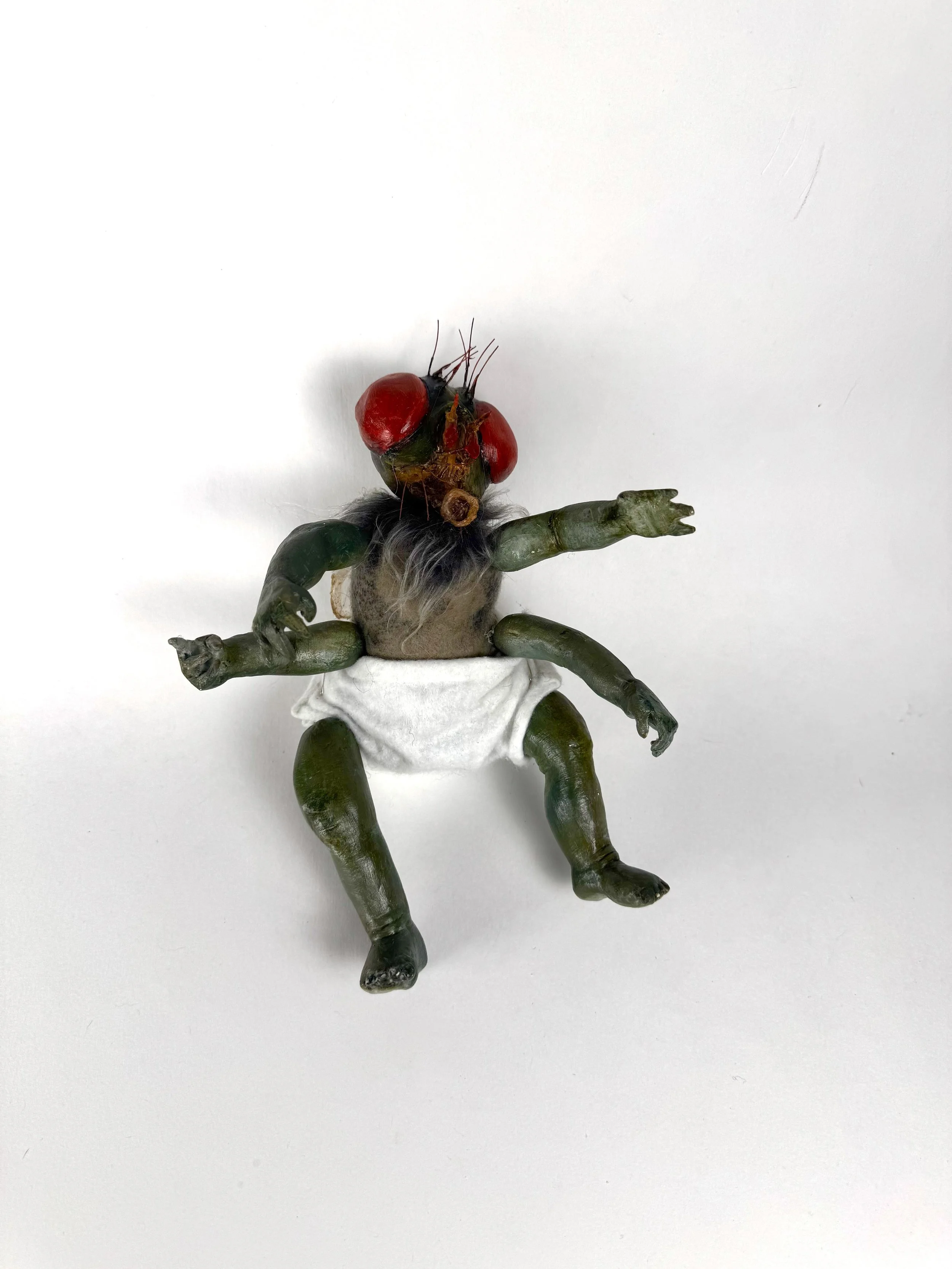 Flybaby 1.jpg