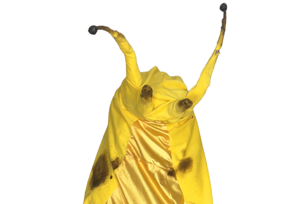 Ben Slug