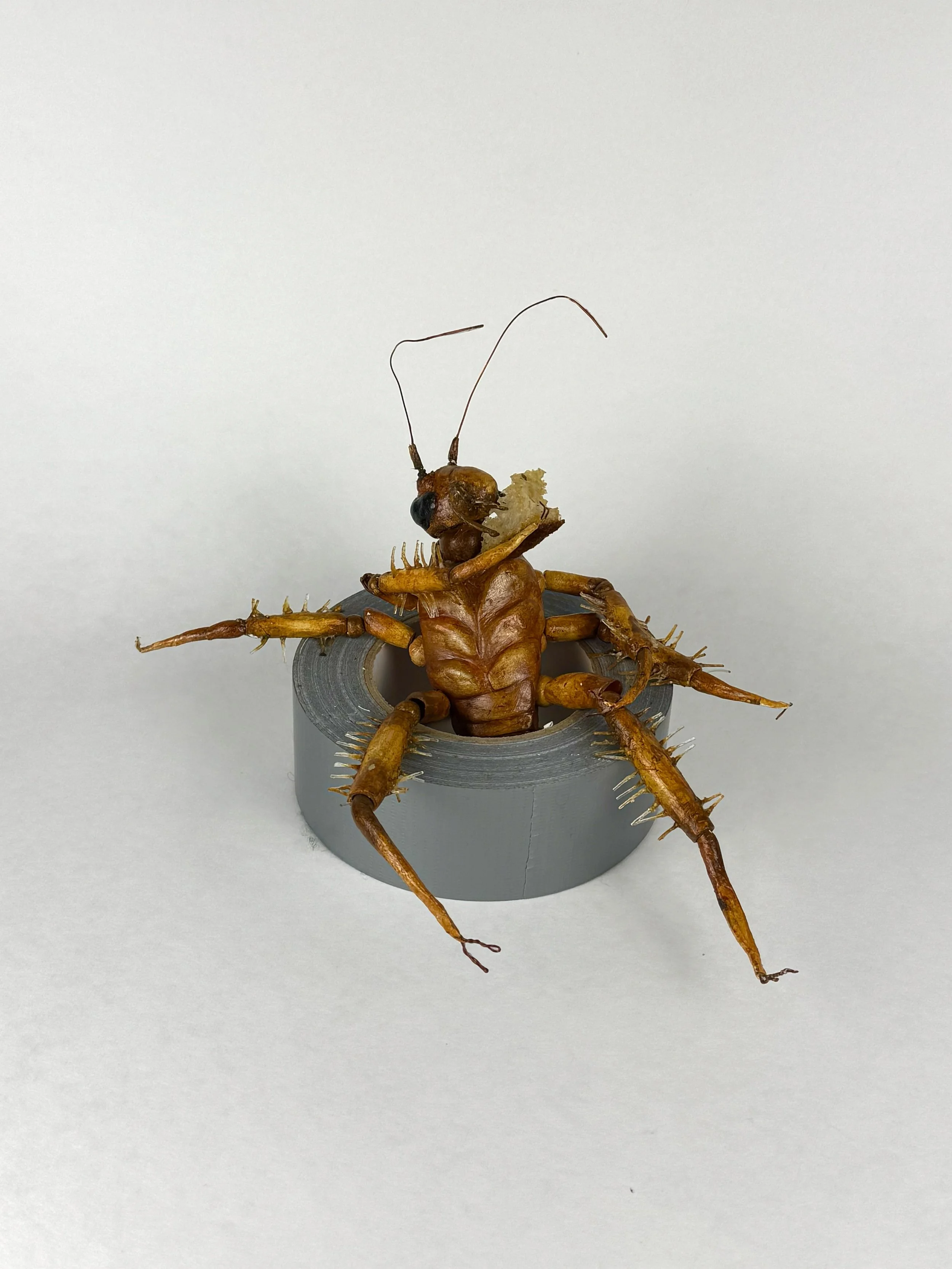 Roach_BreadCrumb.jpg