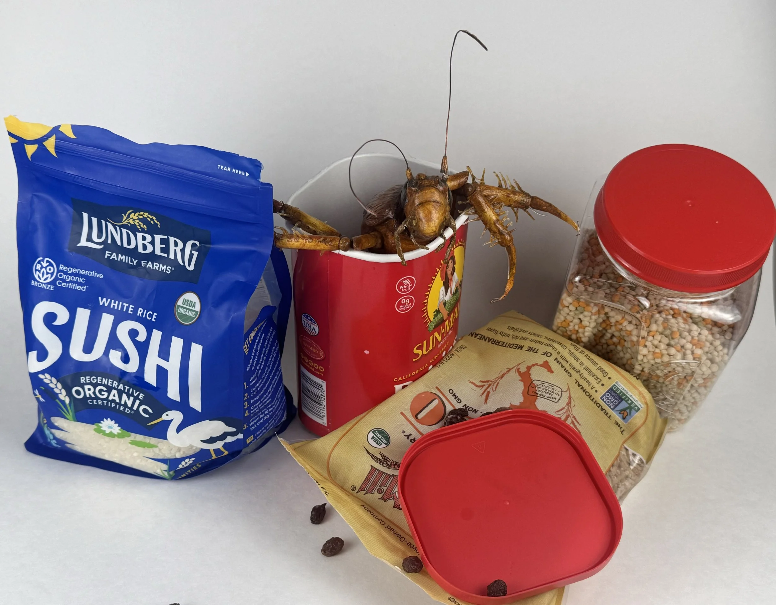 Roach_Grains.jpg