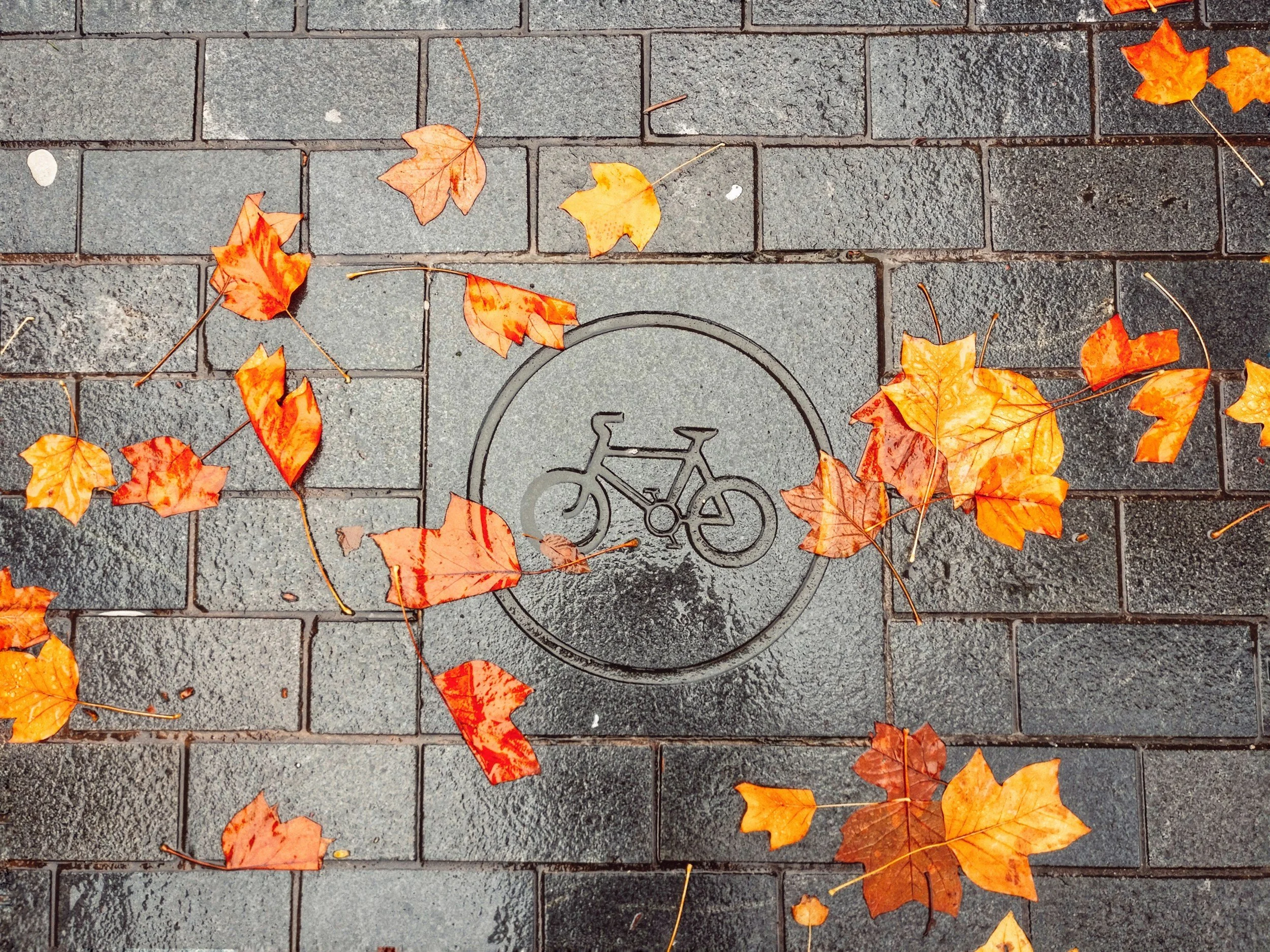 Bike image in fall leaves