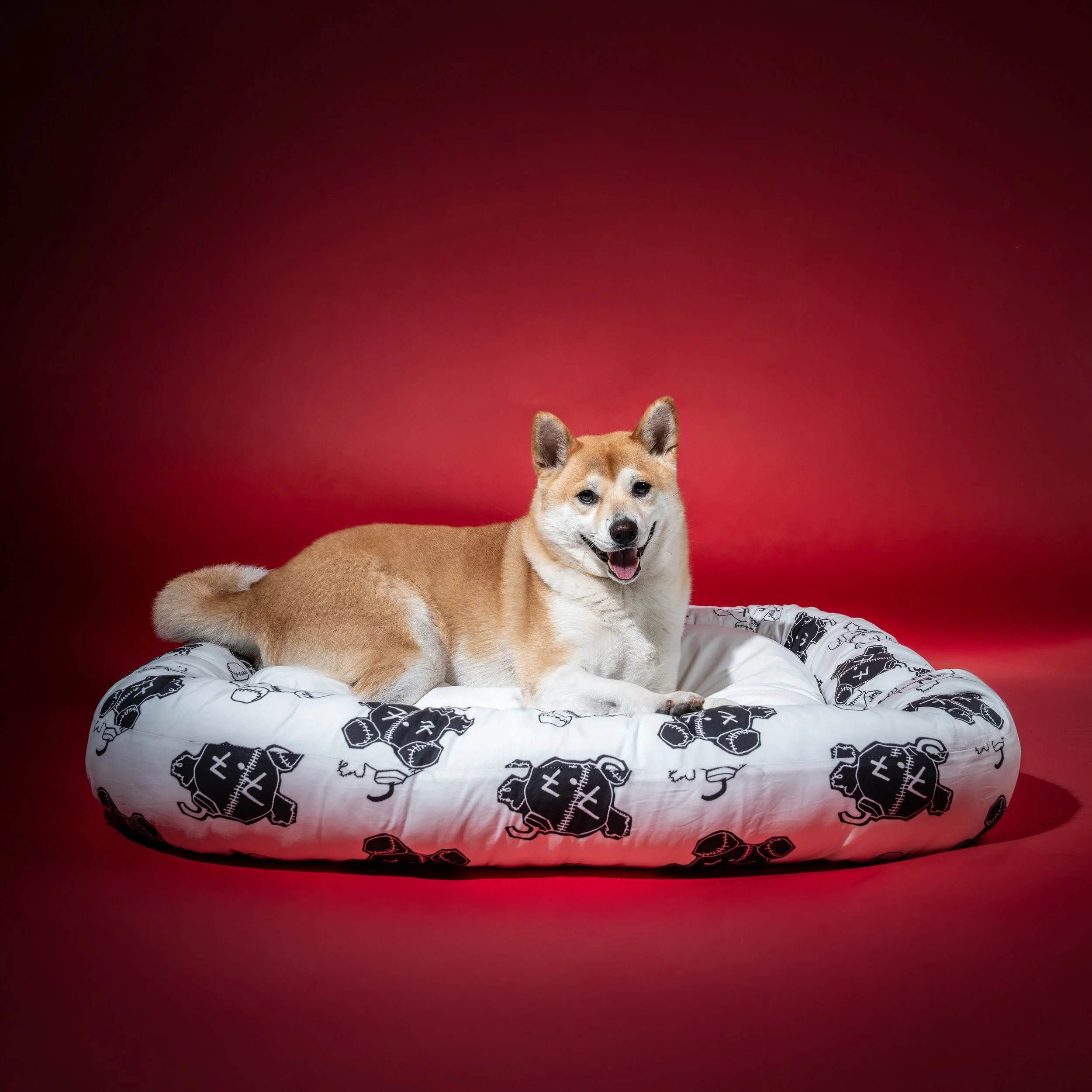 BTS_Pet Cushion_Lifestyle 1.jpg
