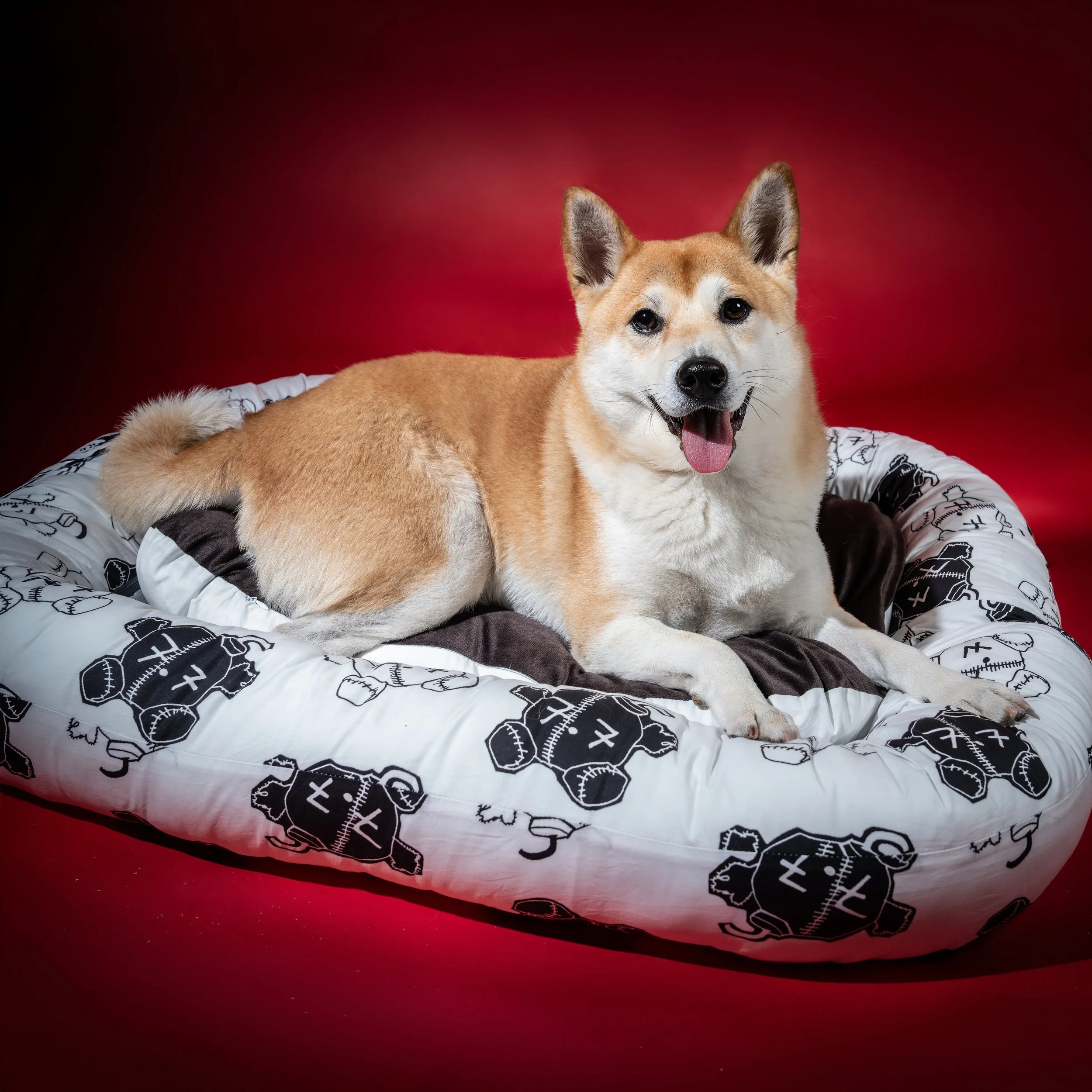 BTS_Pet Cushion_Lifestyle 2.jpg