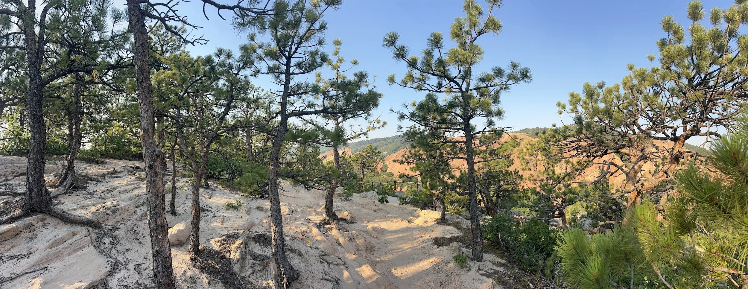 A scenic trail through a forest of pine trees with a view of red rock formations and hills in the distance under a clear blue sky.