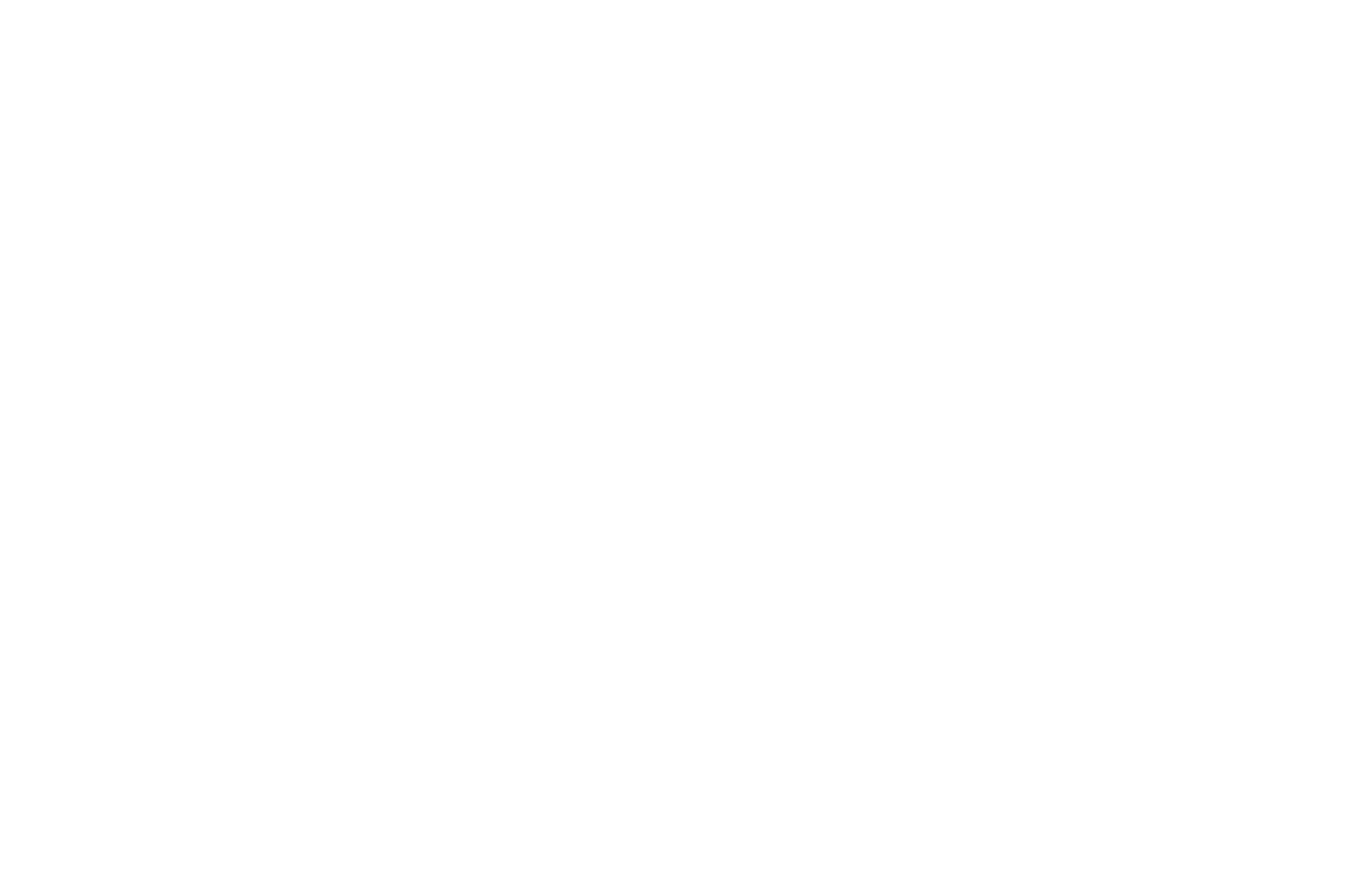 Dirigo Coaching