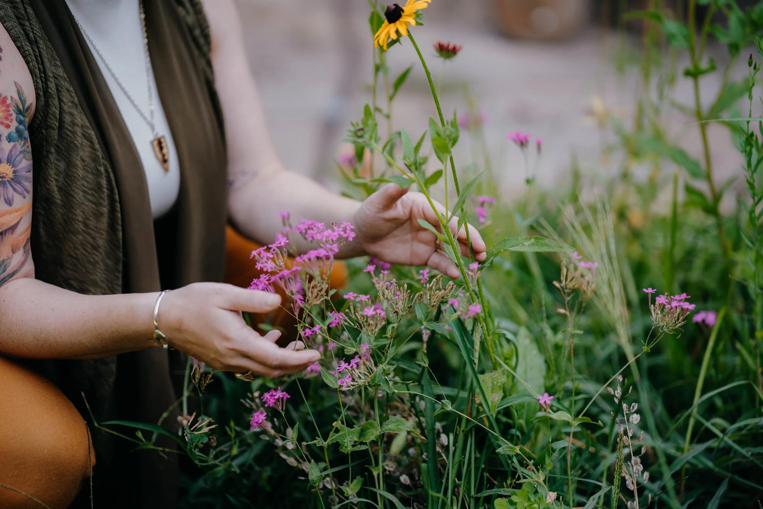 Beth's hands touching wildflowers