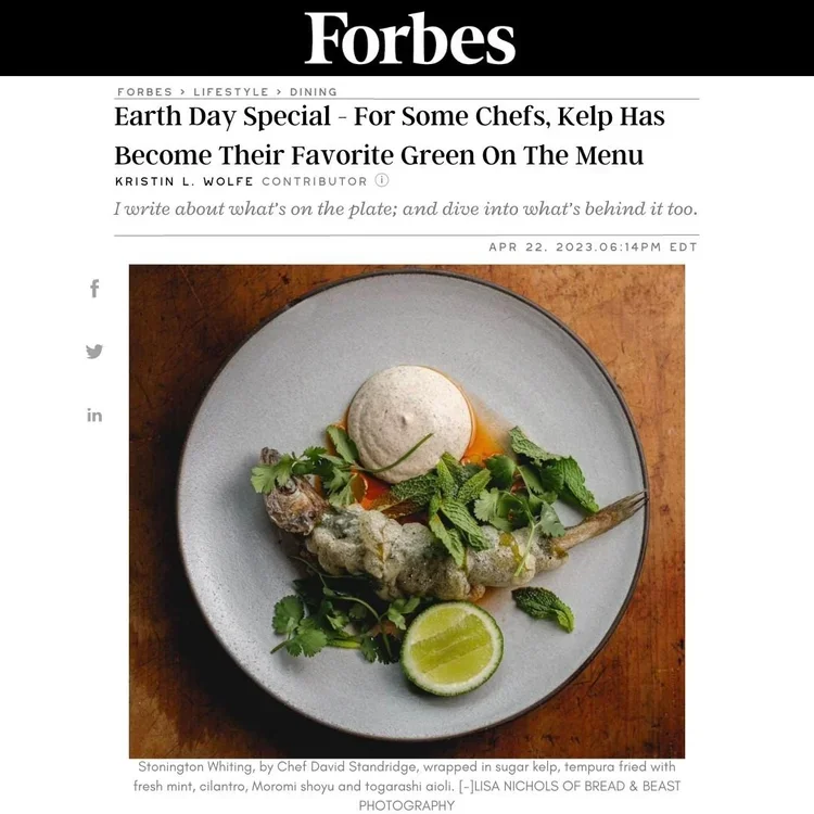 A plate of earth day-themed food featuring a fried frog with herbs, a lime wedge, and a dollop of sauce, accompanied by fresh herbs for garnish.