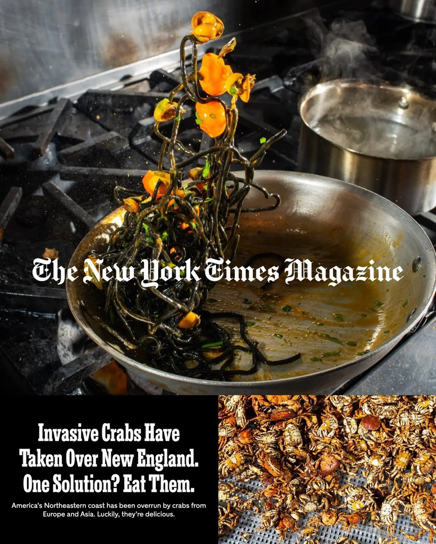 The New York Times Magazine. A kitchen stove with black seaweed and orange vegetables being cooked in a metal pan, with a pot steaming on the stove. The image is overlaid with text about invasive crabs in New England.