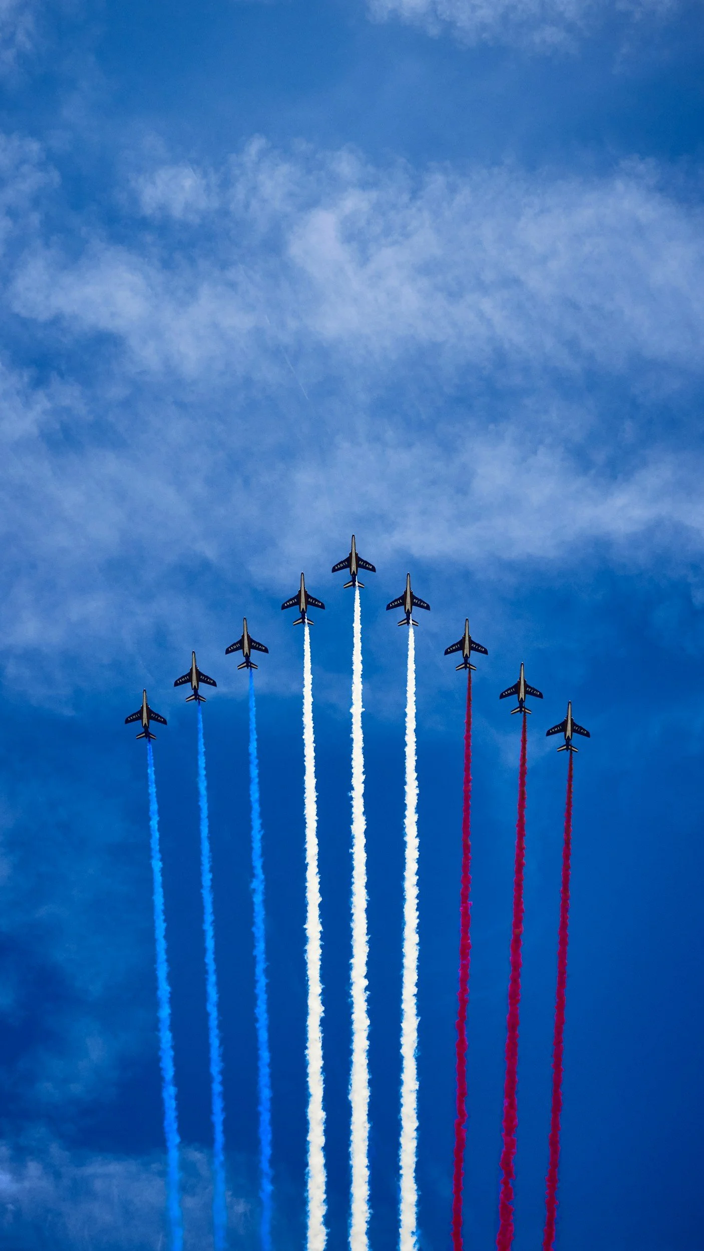 Why is the Fab-Dis critical to succeed in the French market?