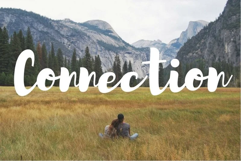connection trauma therapist Sacramento
