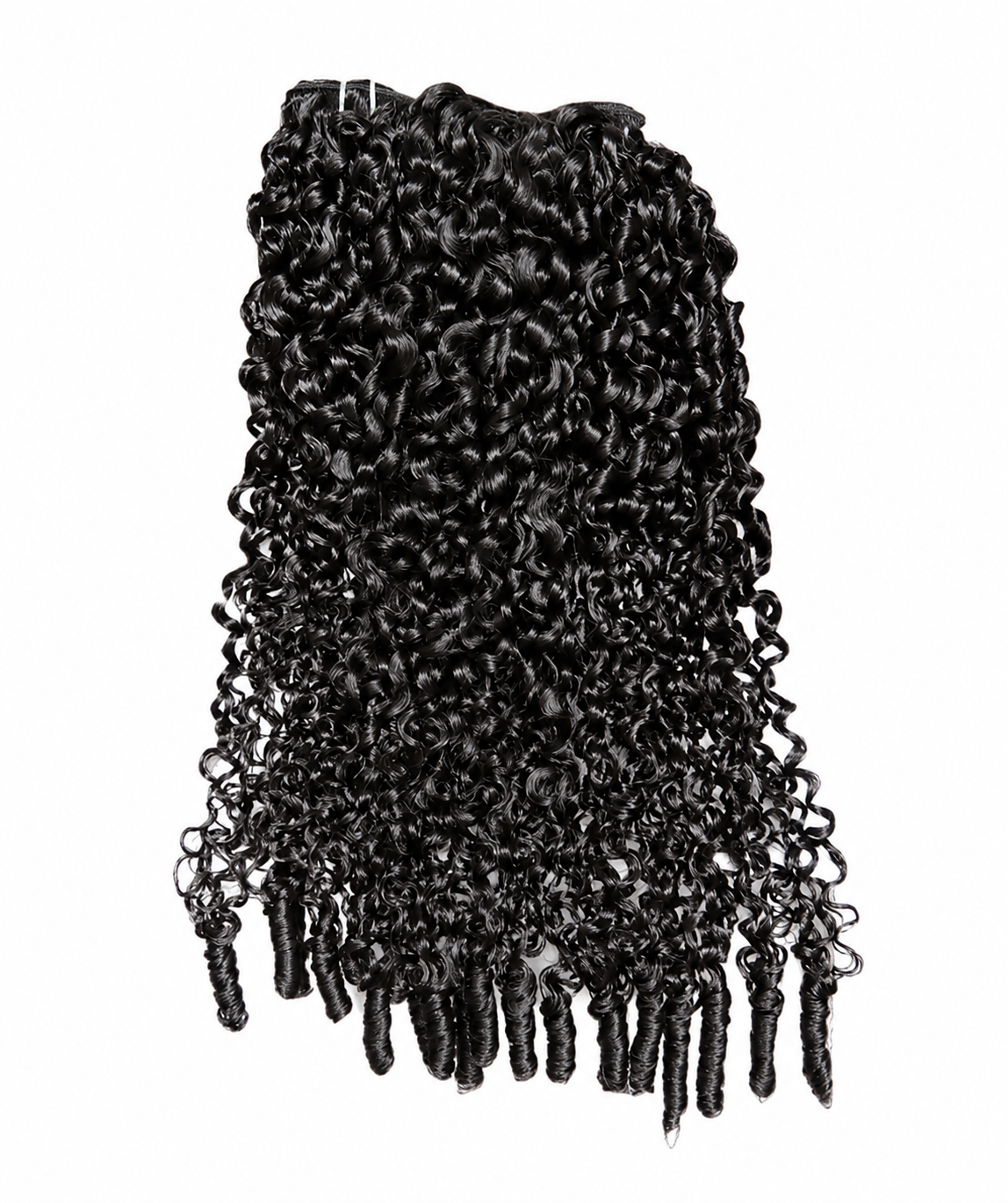 Burmese Curly