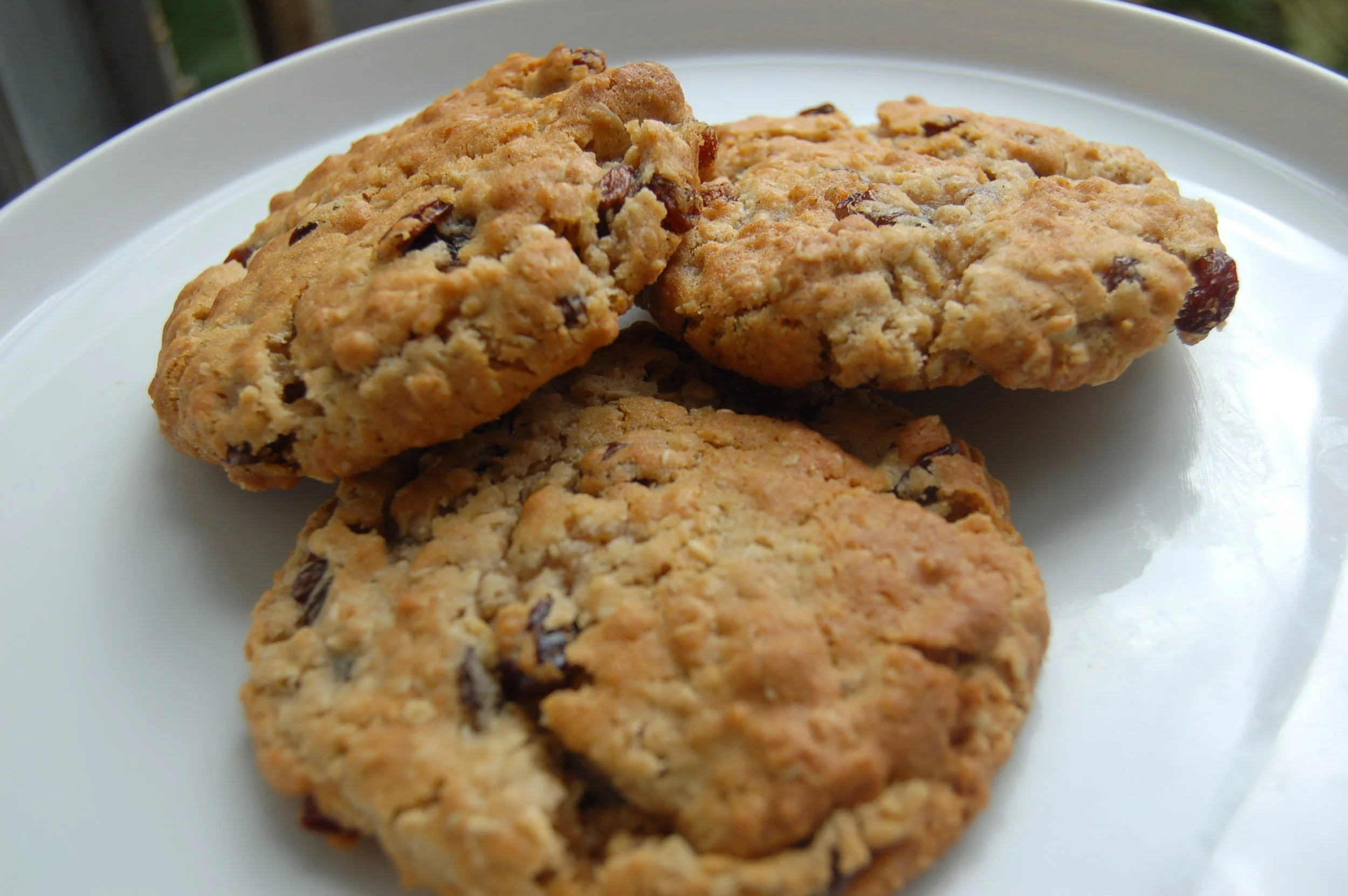 Oatmeal Raisin