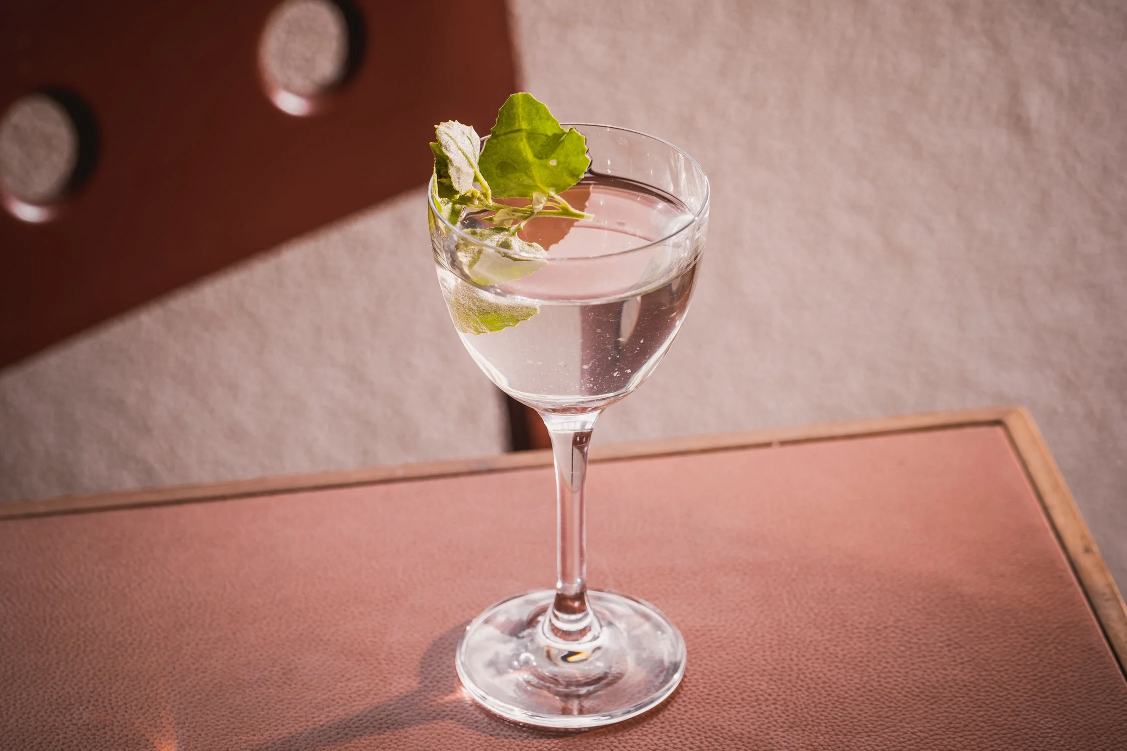 A martini glass filled with a clear liquid, garnished with green leaves, on a pinkish surface with a textured beige background.