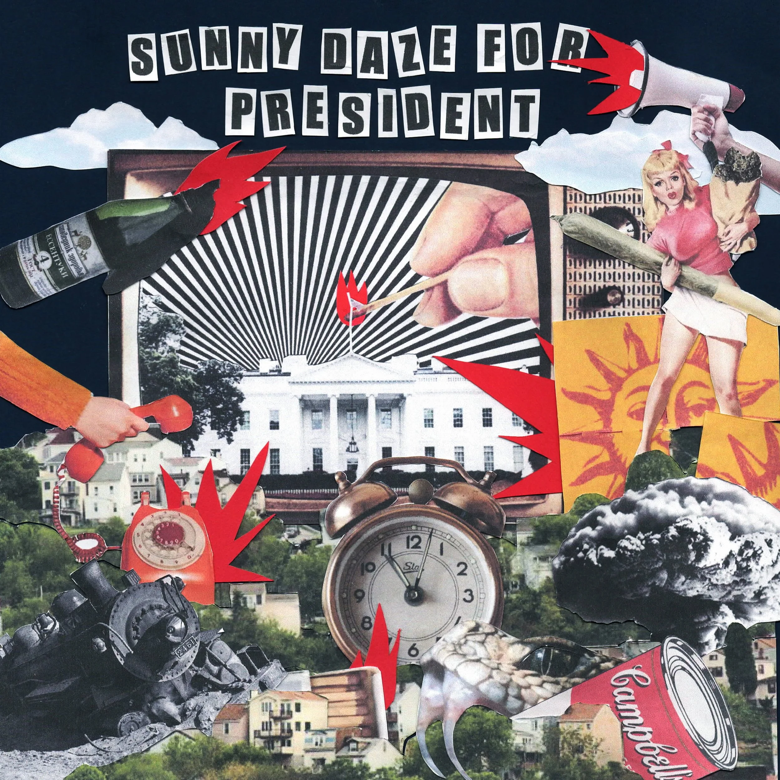 Sunny Daze for President