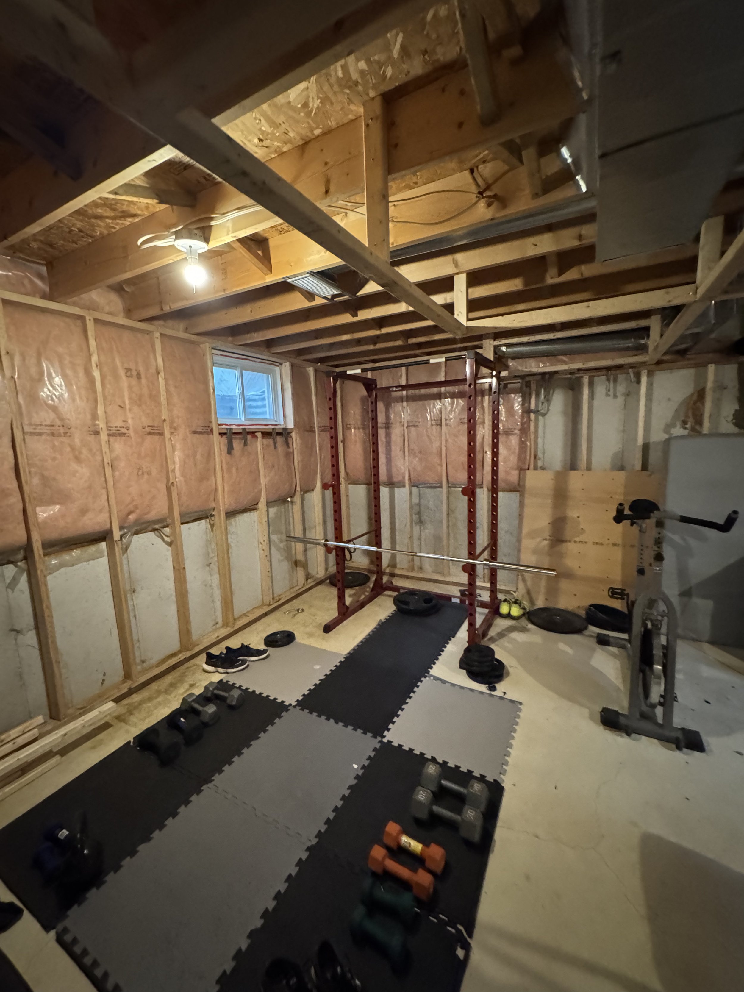 Unfinished basement before framing and construction began.