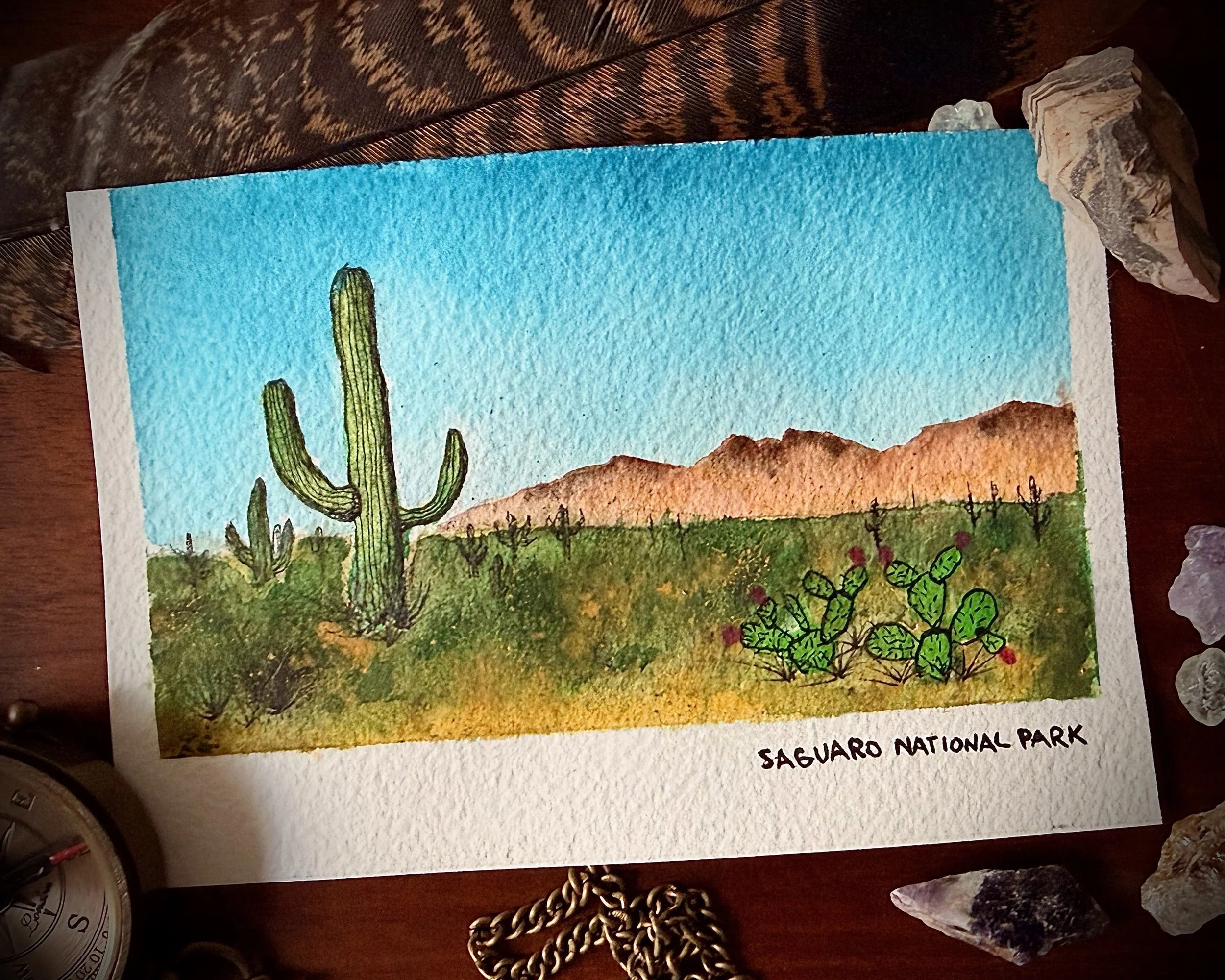 A watercolor painting of a desert landscape with cactus plants, mountain range, and a blue sky, labeled 'Saguaro National Park'.