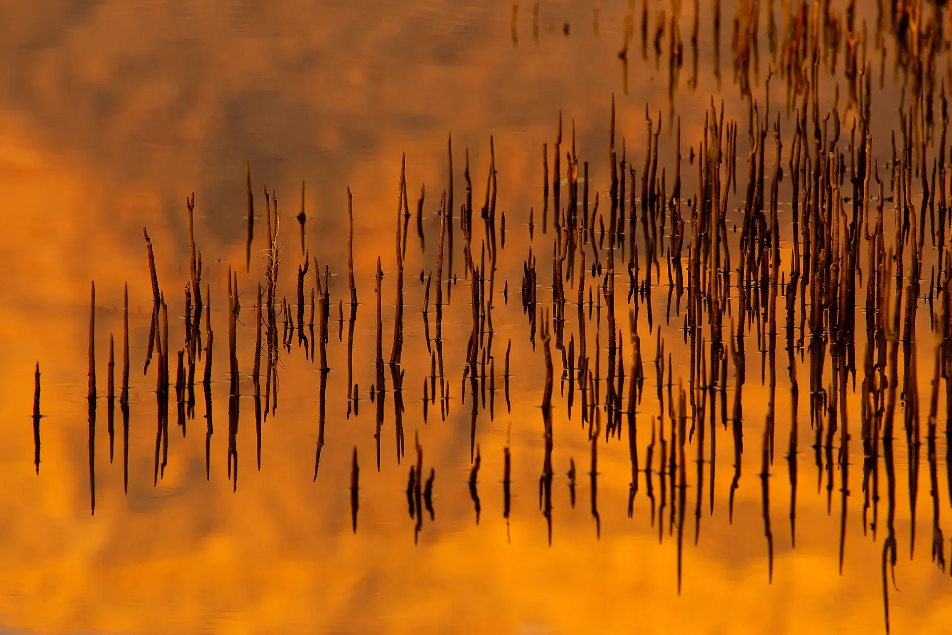 capturing a dramatic sunset at Assaluyeh, Persian Gulf, Iran. Silhouette patterns against golden and orange reflecting water.