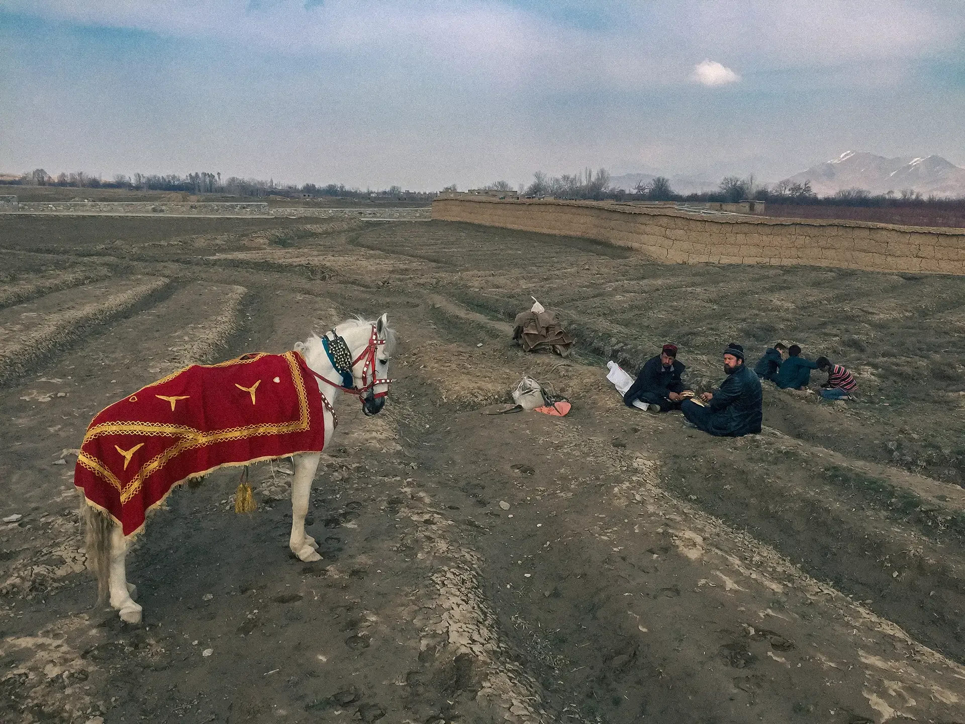 behrouz-badrouj-cinematography-when-pomegranates-howl-fiction-feature-film-afghanistan-kabul.cinema-movie-Australia's-Official-Entry-for-the-94th-Academy-Awards-2.webp