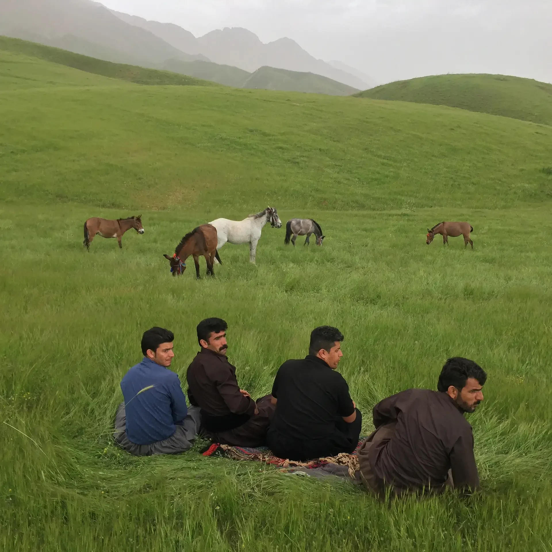 behrouz-badrouj-photography-kurdistan-paveh-kermanshah-iran.webp