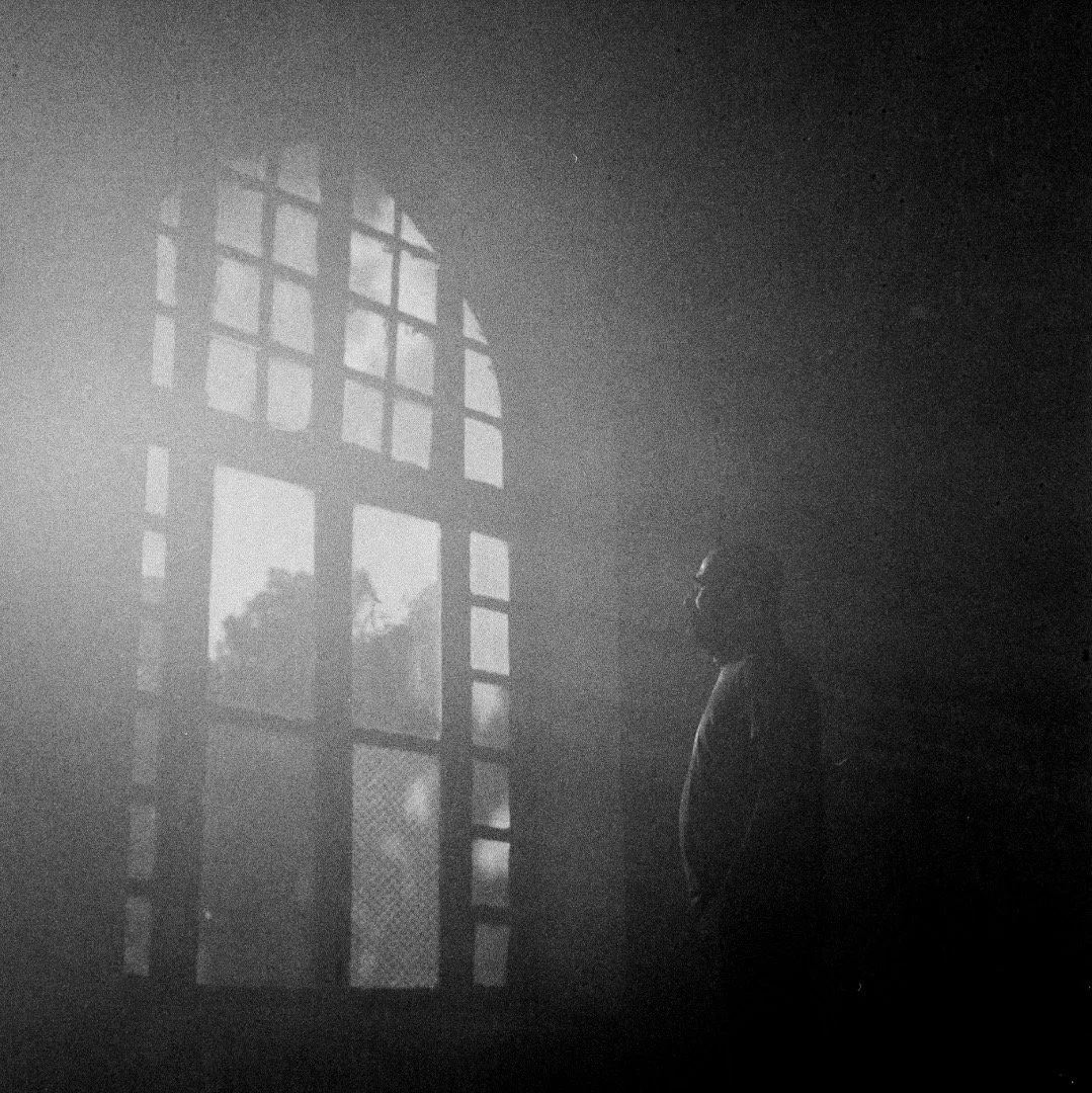 ©Arman Golestane